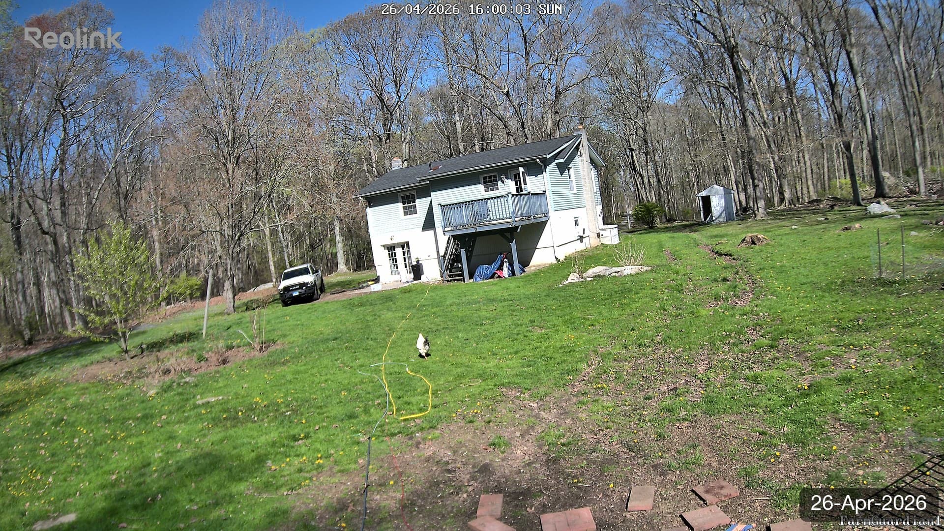 Yard on 26-Apr-2026, Evening