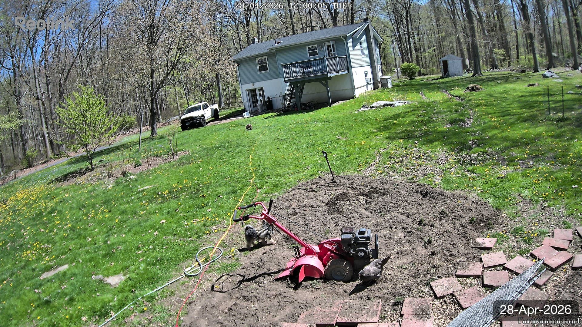 Yard on 28-Apr-2026, Noon