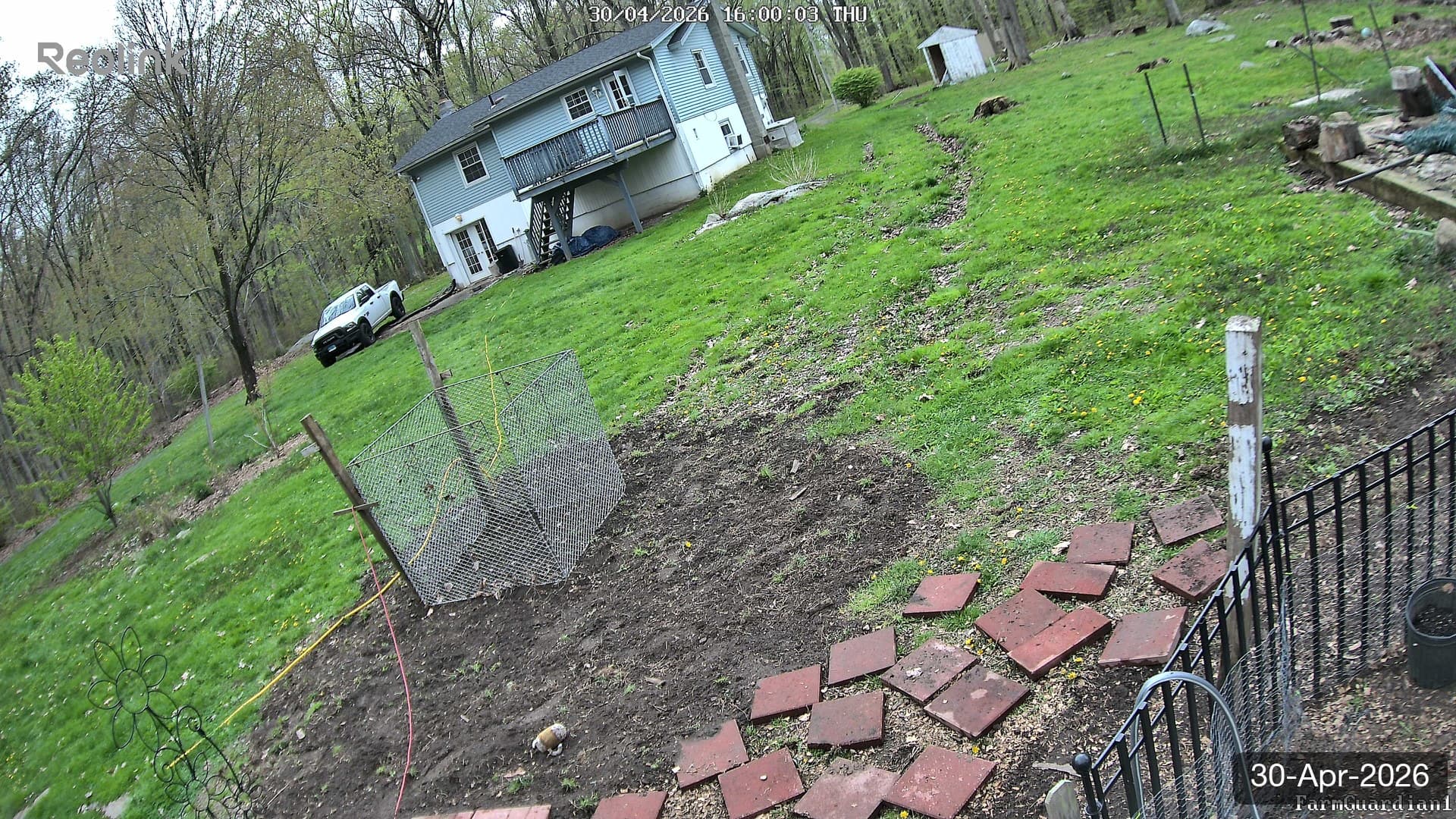 Yard on 30-Apr-2026, Evening
