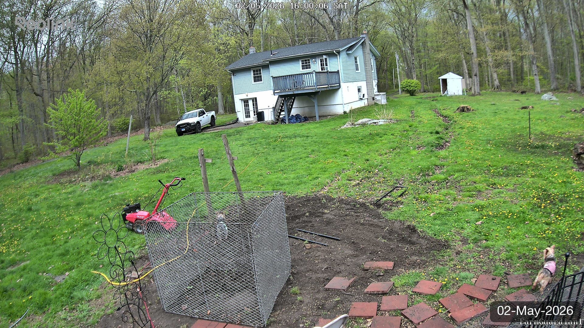 Yard on 02-May-2026, Evening