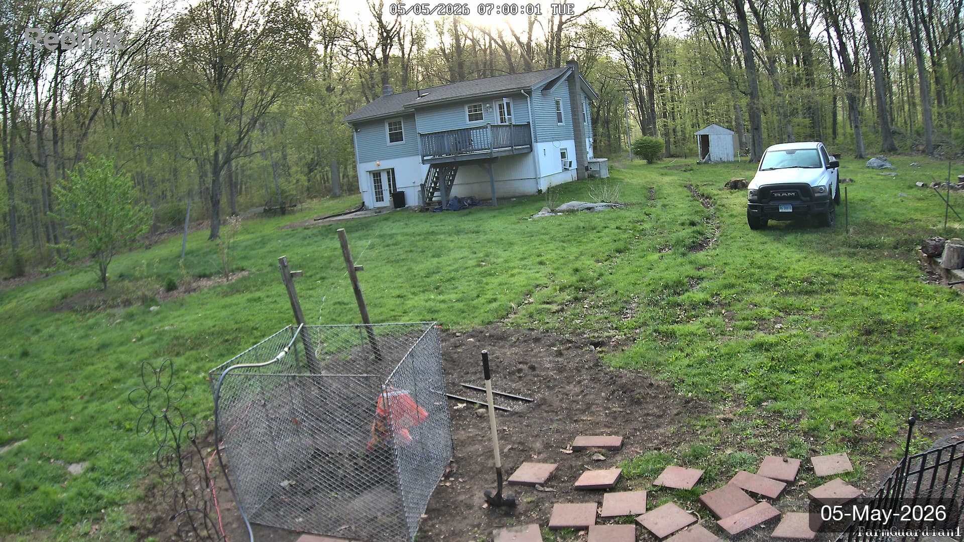 Yard on 05-May-2026, Morning