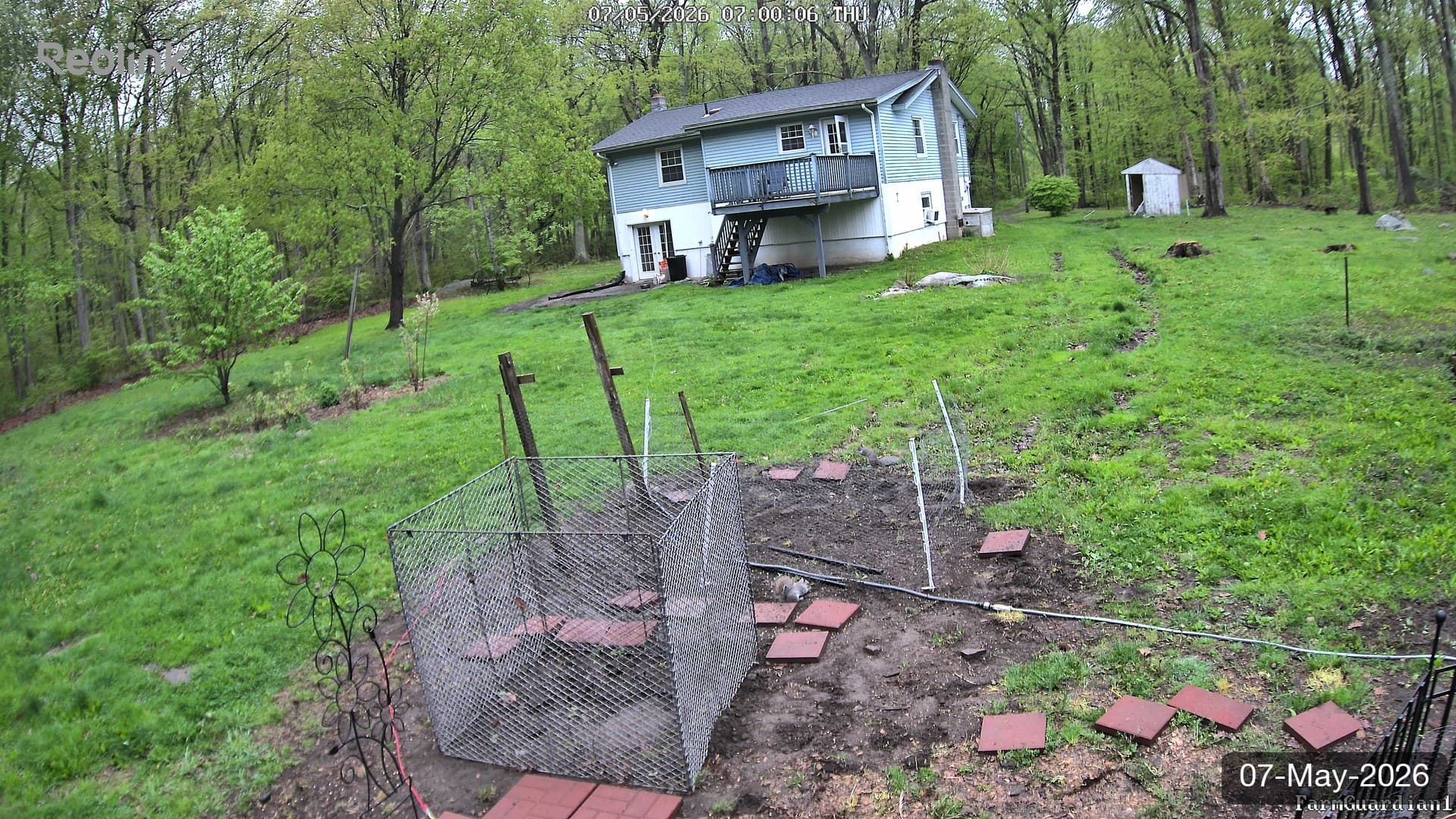 Yard on 07-May-2026, Morning