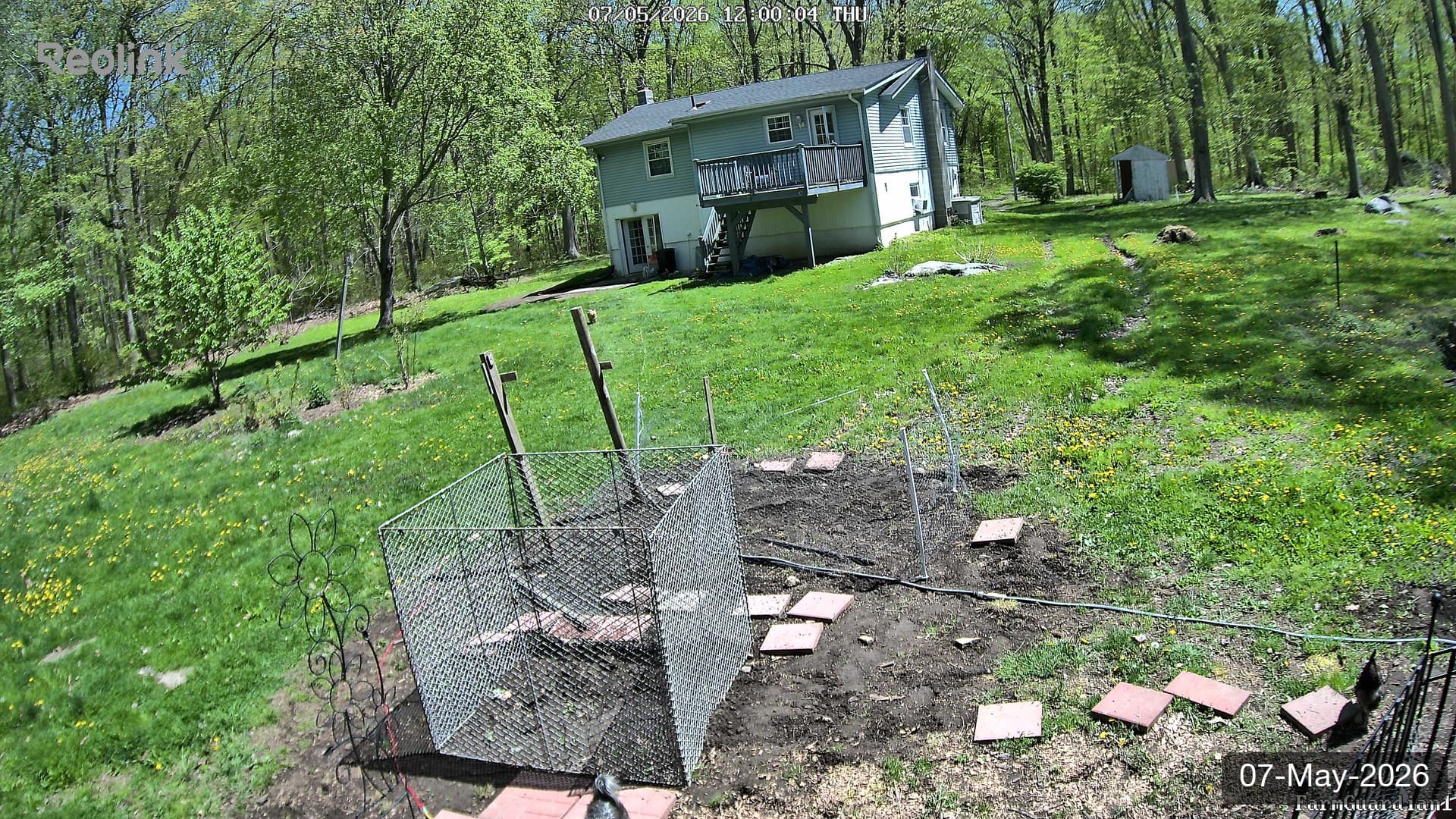 Yard on 07-May-2026, Noon