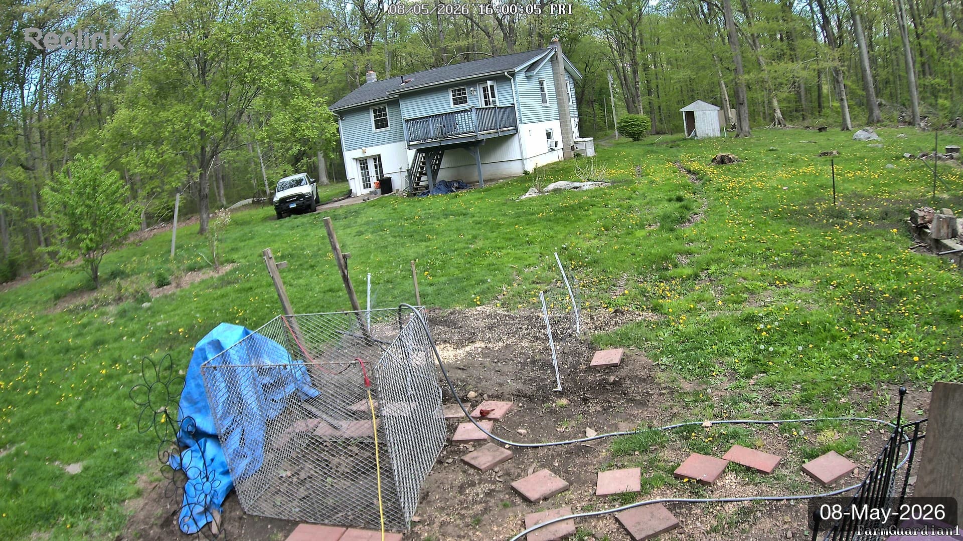 Yard on 08-May-2026, Evening