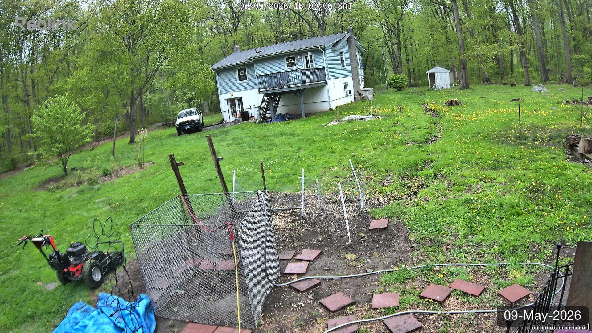 Yard on 09-May-2026, Evening