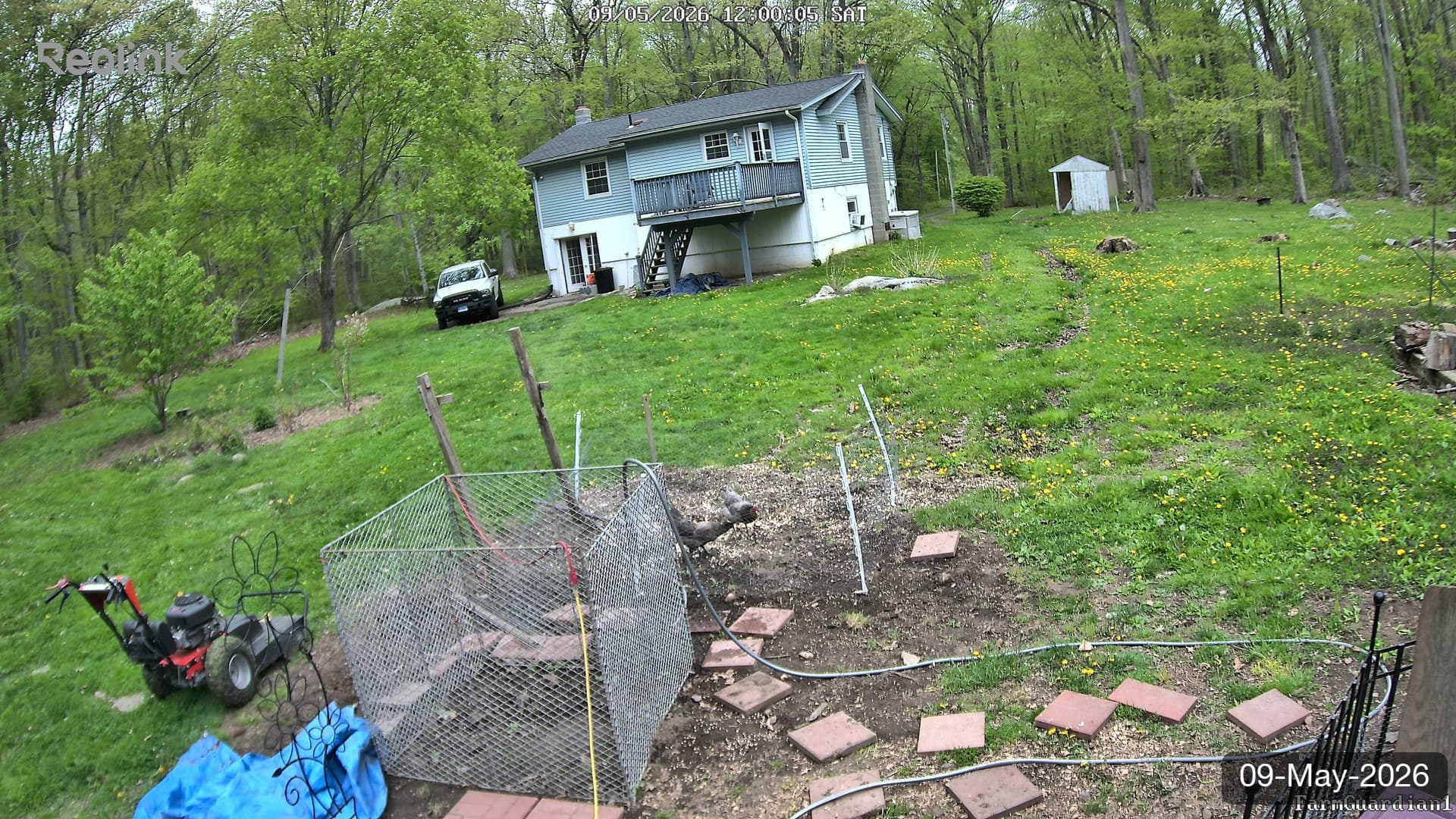 Yard on 09-May-2026, Noon