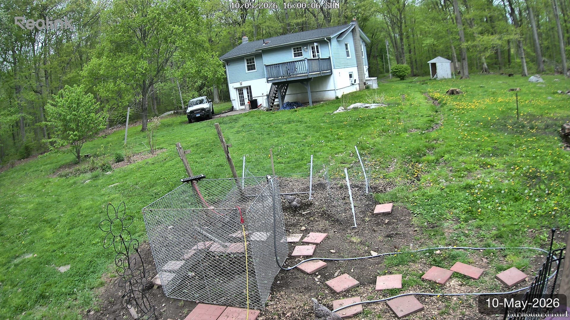 Yard on 10-May-2026, Evening