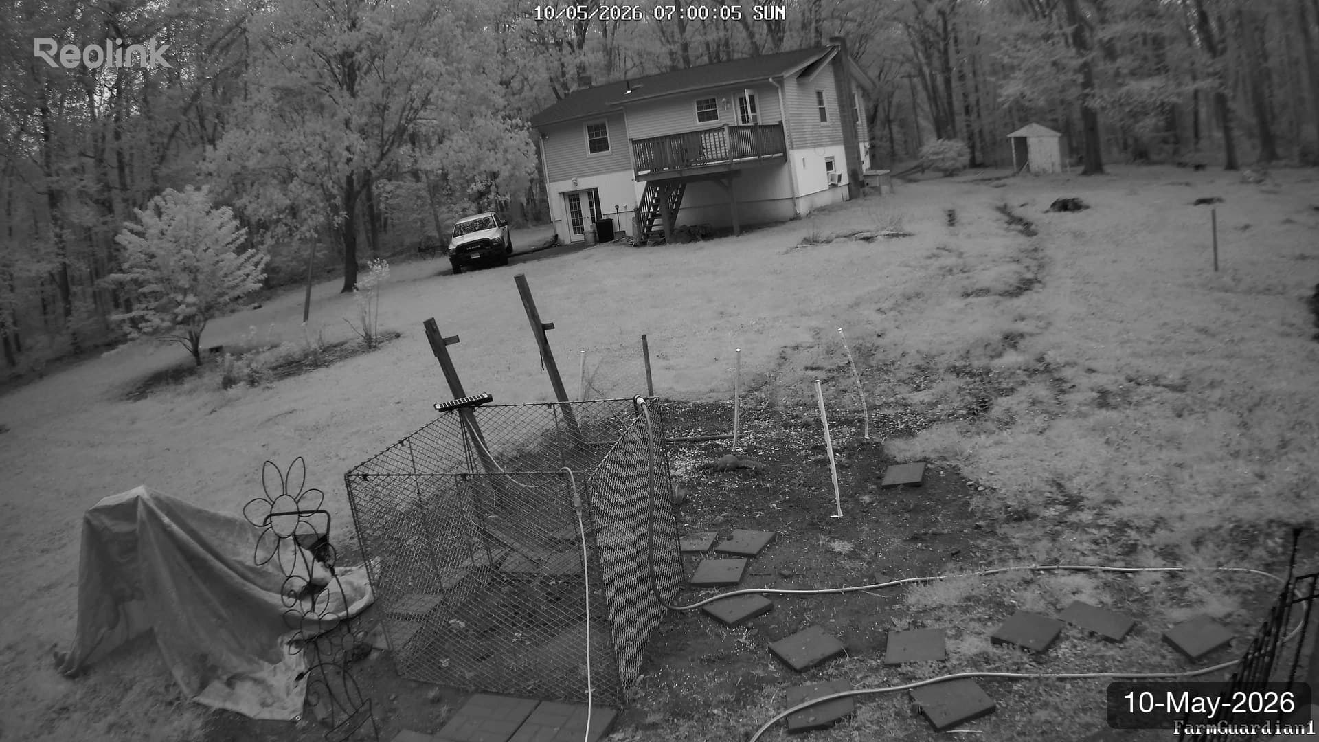 Yard on 10-May-2026, Morning