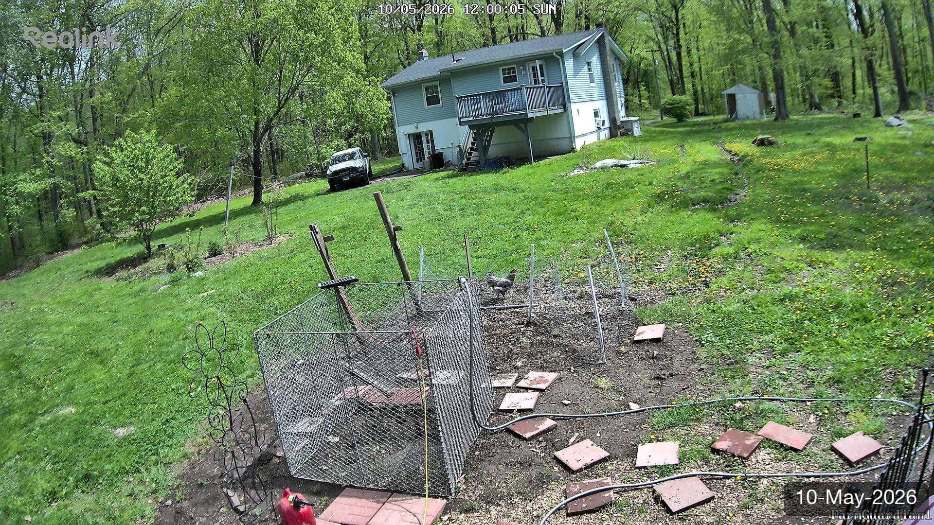 Yard on 10-May-2026, Noon