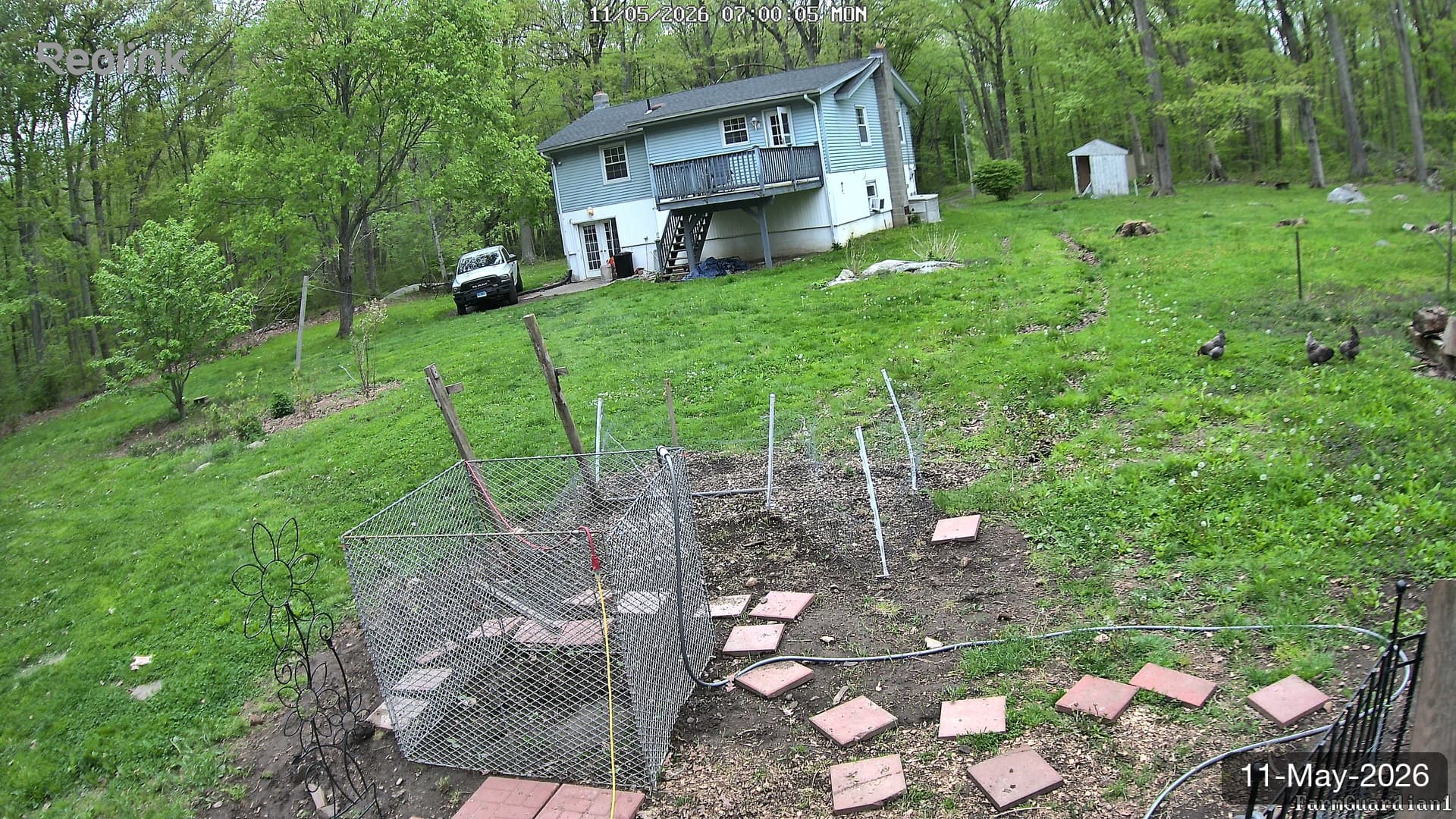 Yard on 11-May-2026, Morning