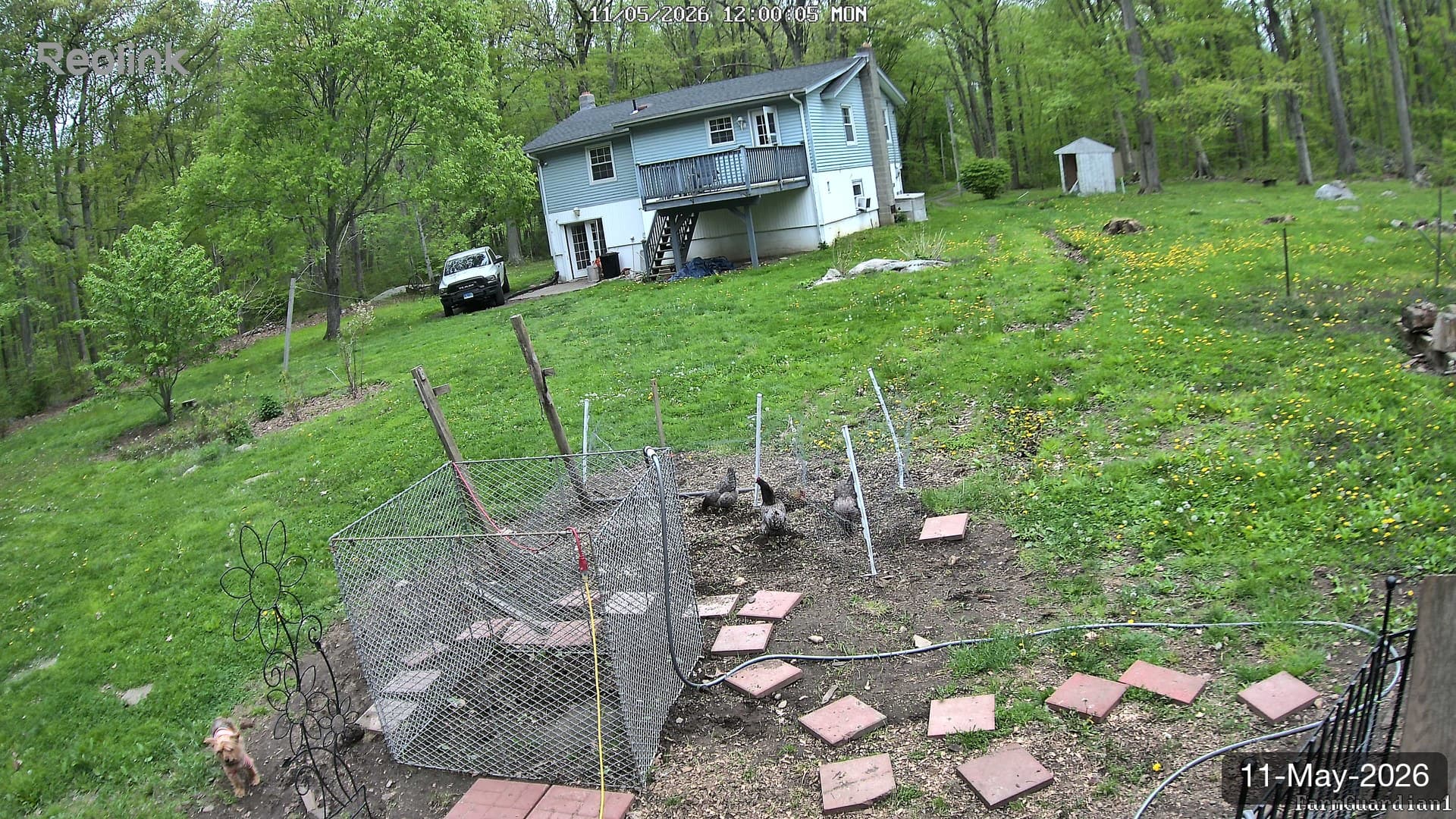 Yard on 11-May-2026, Noon