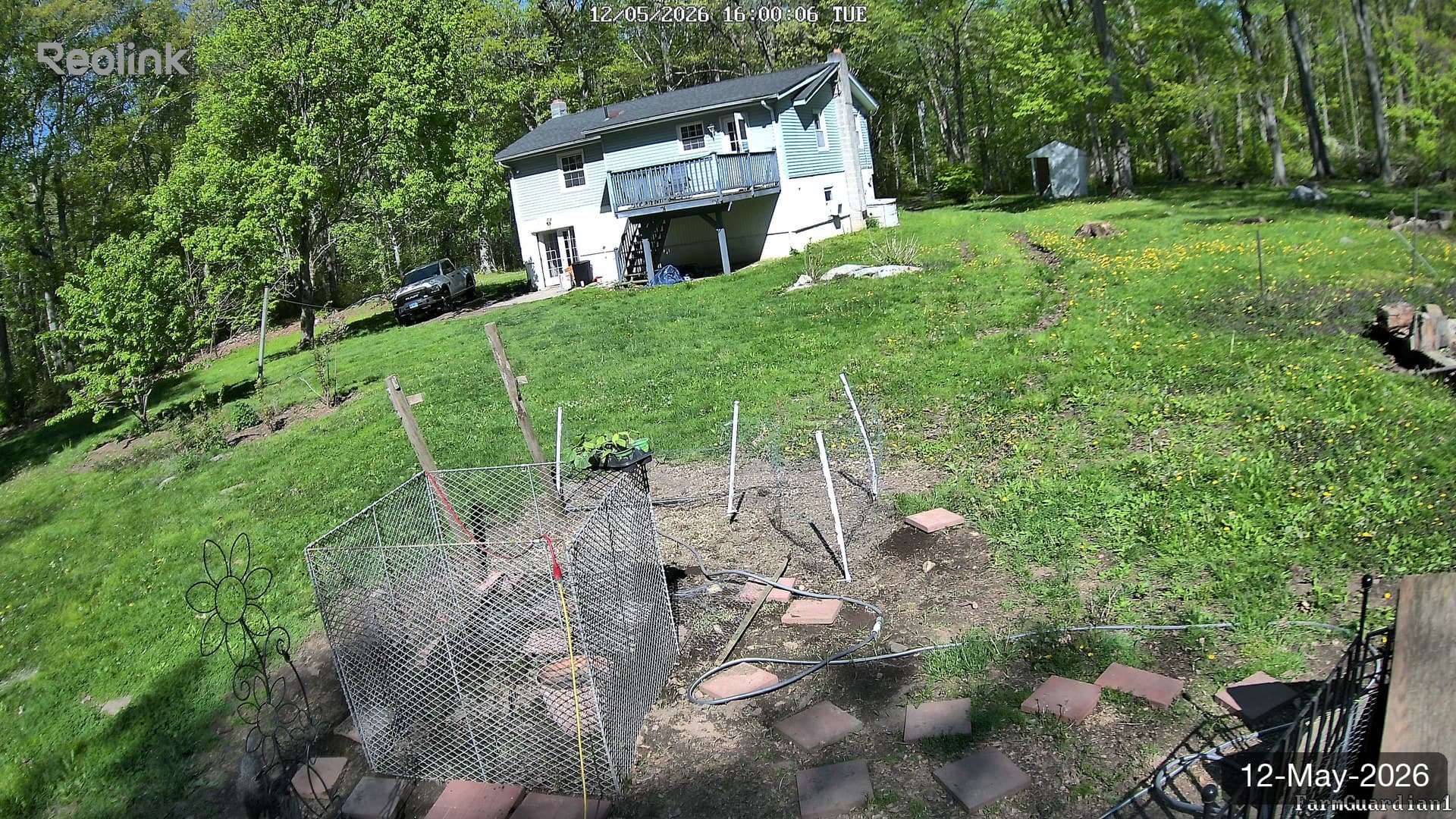 Yard on 12-May-2026, Evening