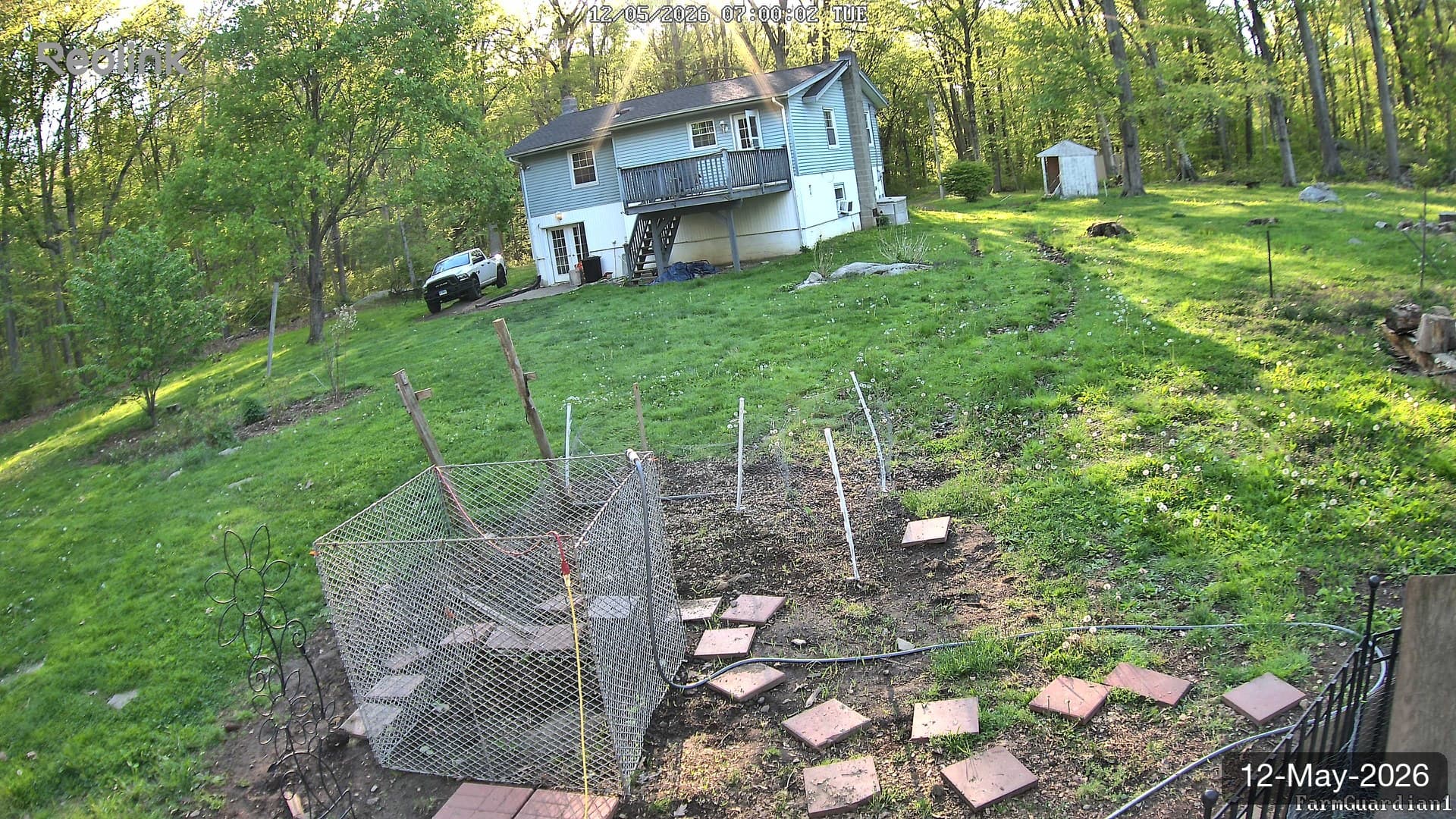 Yard on 12-May-2026, Morning