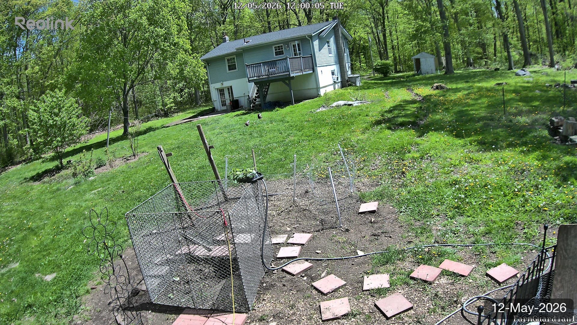 Yard on 12-May-2026, Noon