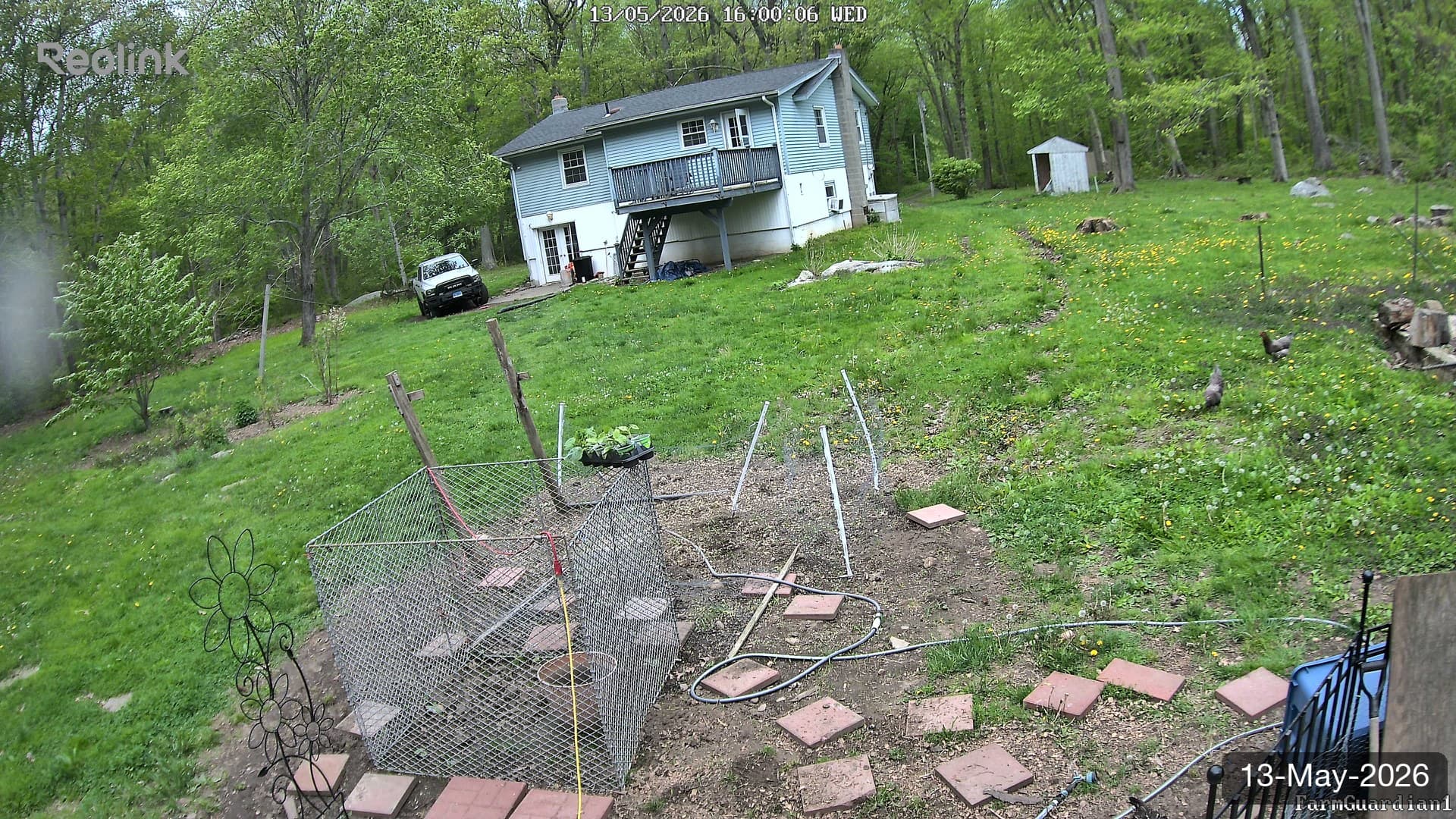 Yard on 13-May-2026, Evening