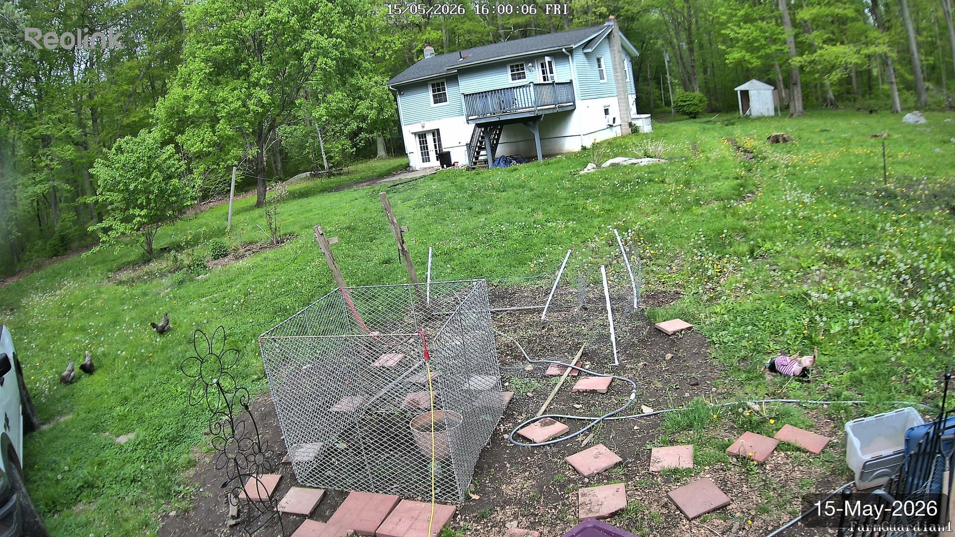 Yard on 15-May-2026, Evening