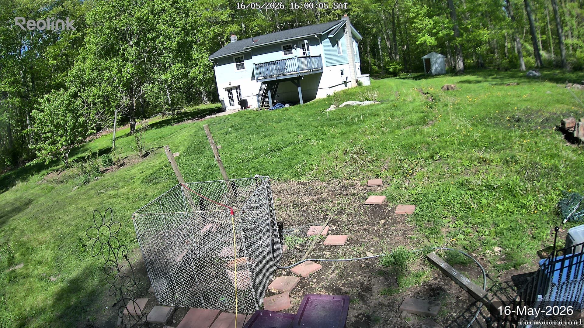 Yard on 16-May-2026, Evening