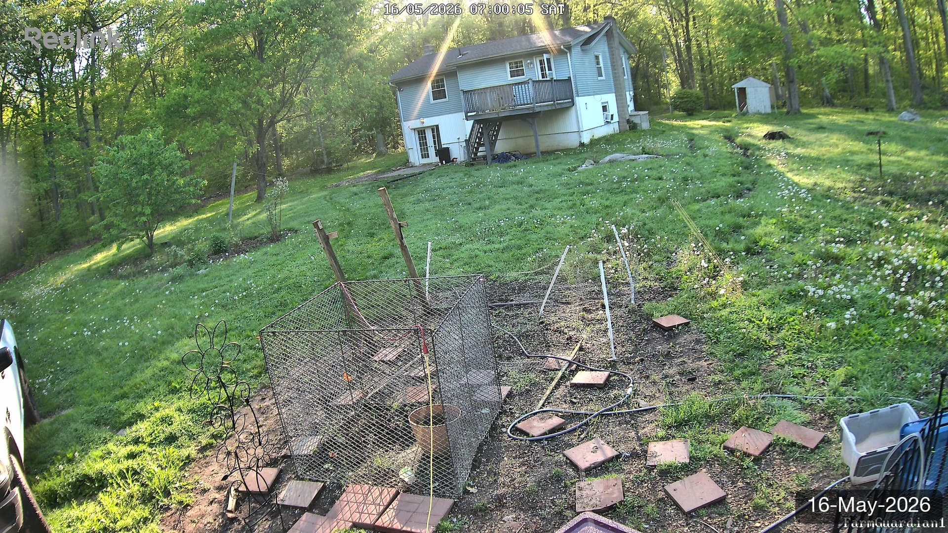 Yard on 16-May-2026, Morning