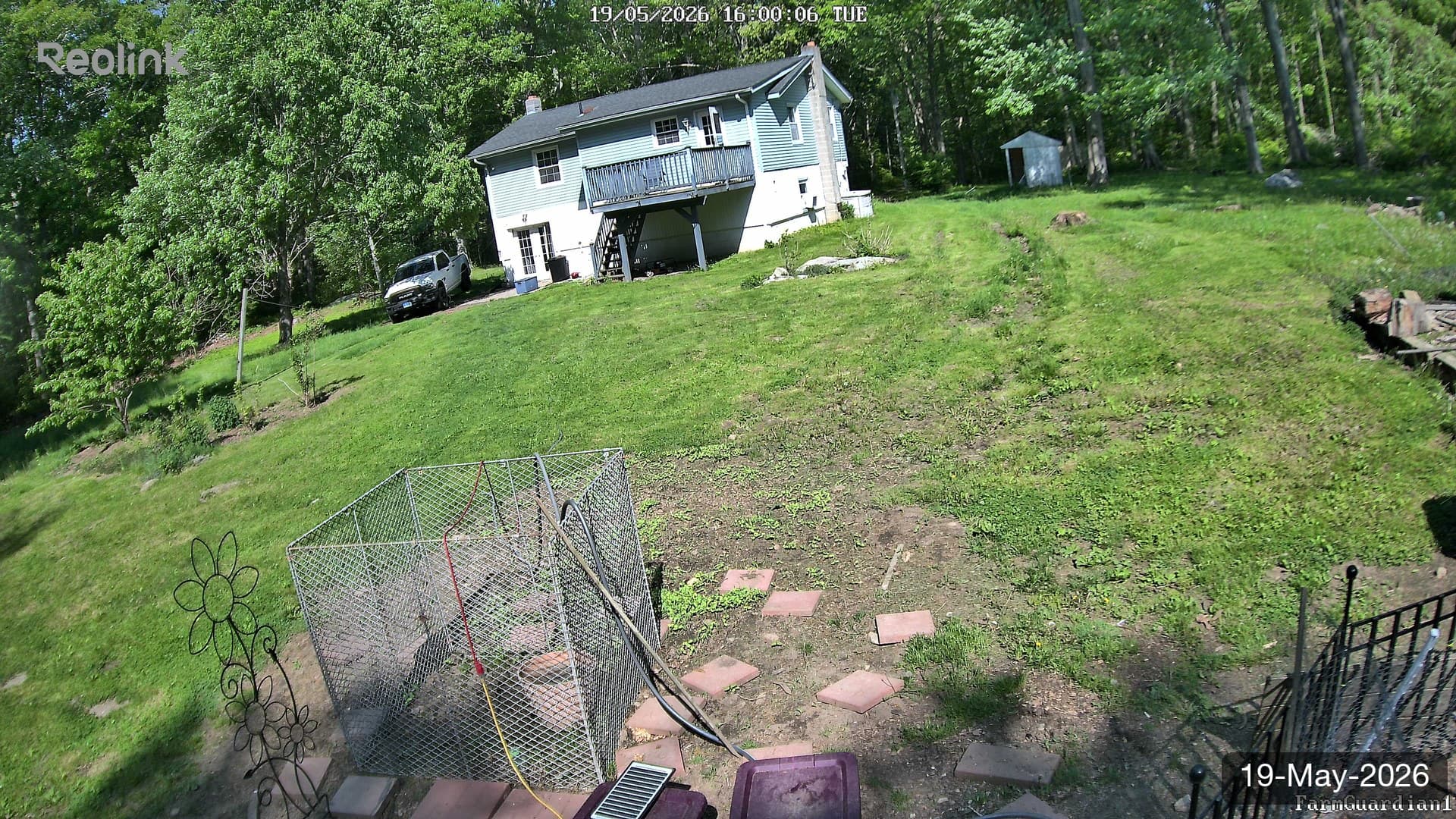 Yard on 19-May-2026, Evening
