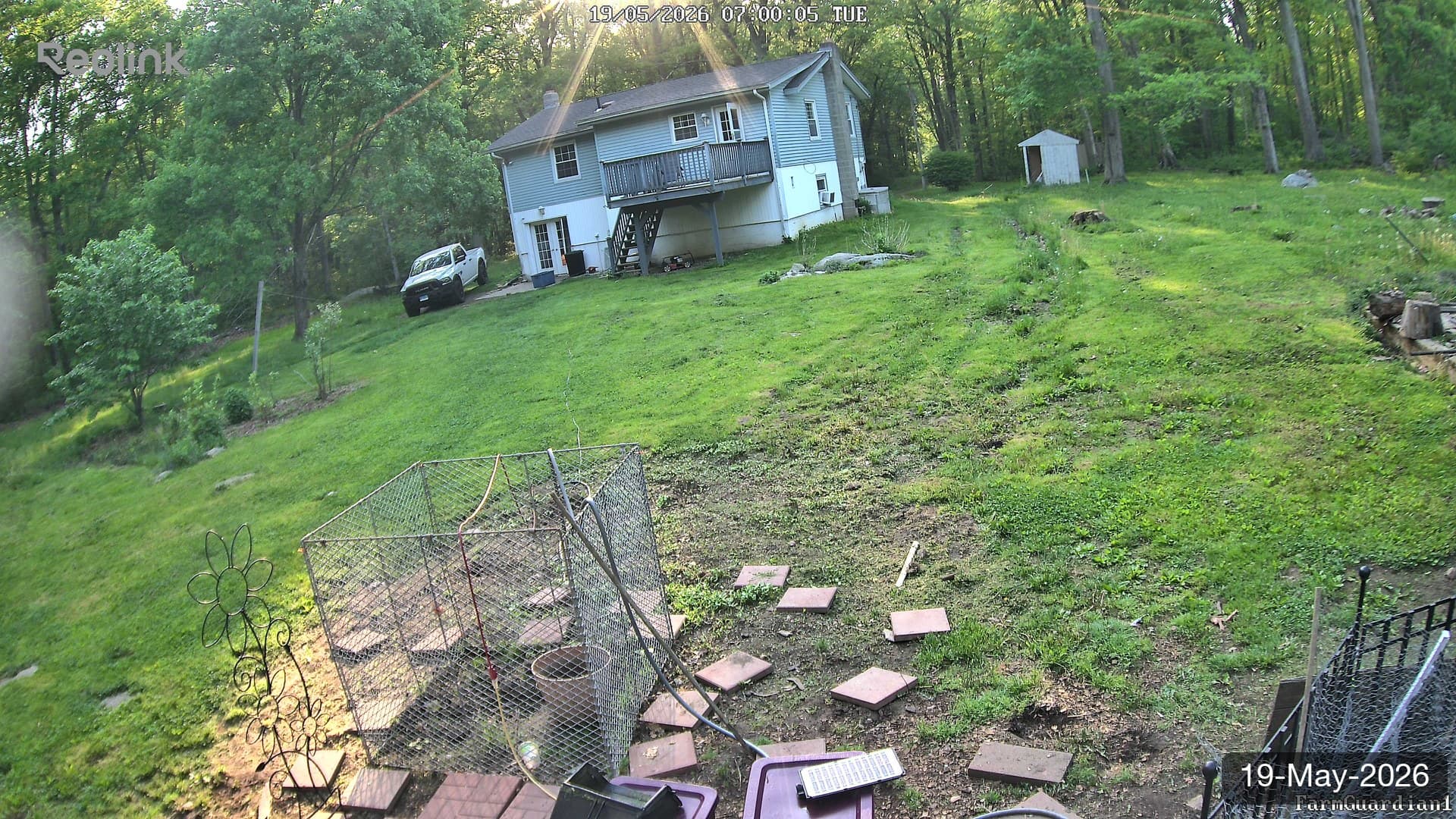 Yard on 19-May-2026, Morning