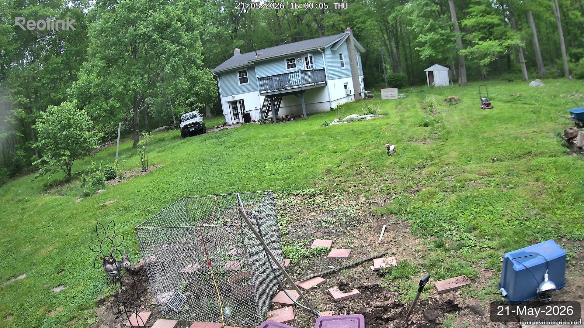 Yard on 21-May-2026, Evening