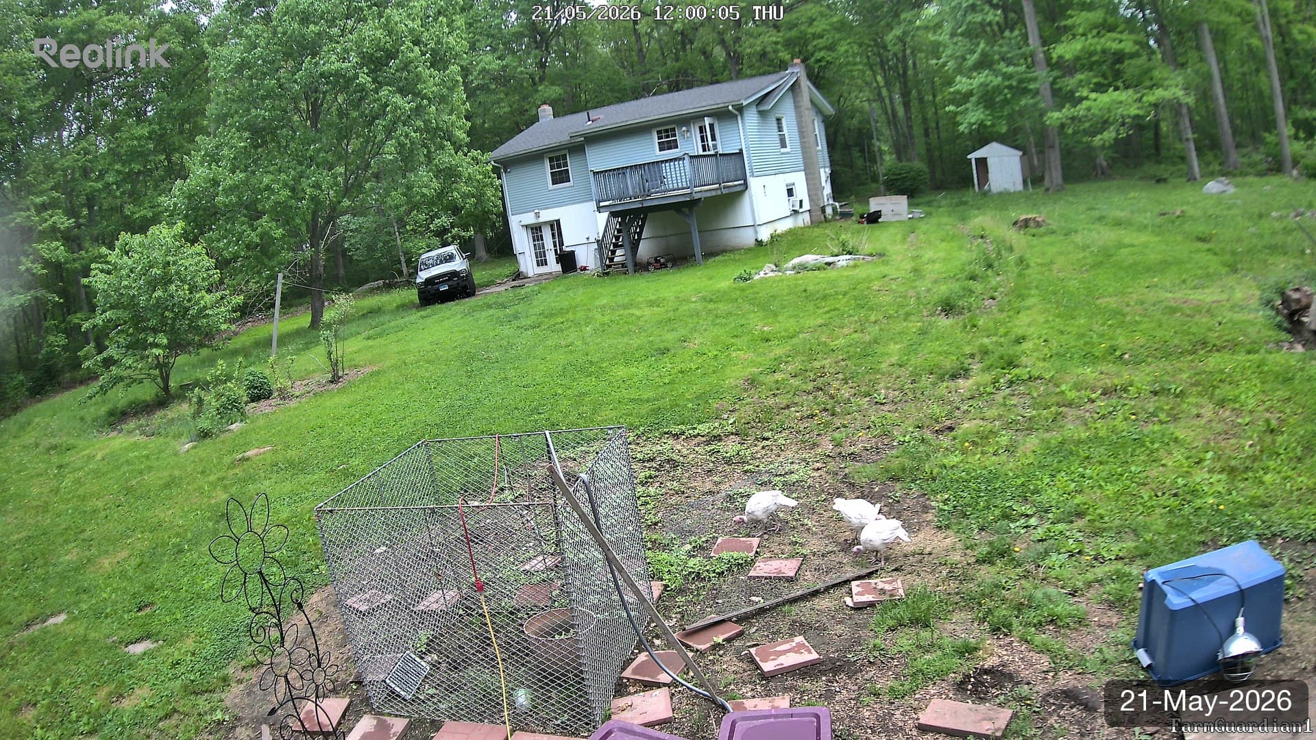 Yard on 21-May-2026, Noon