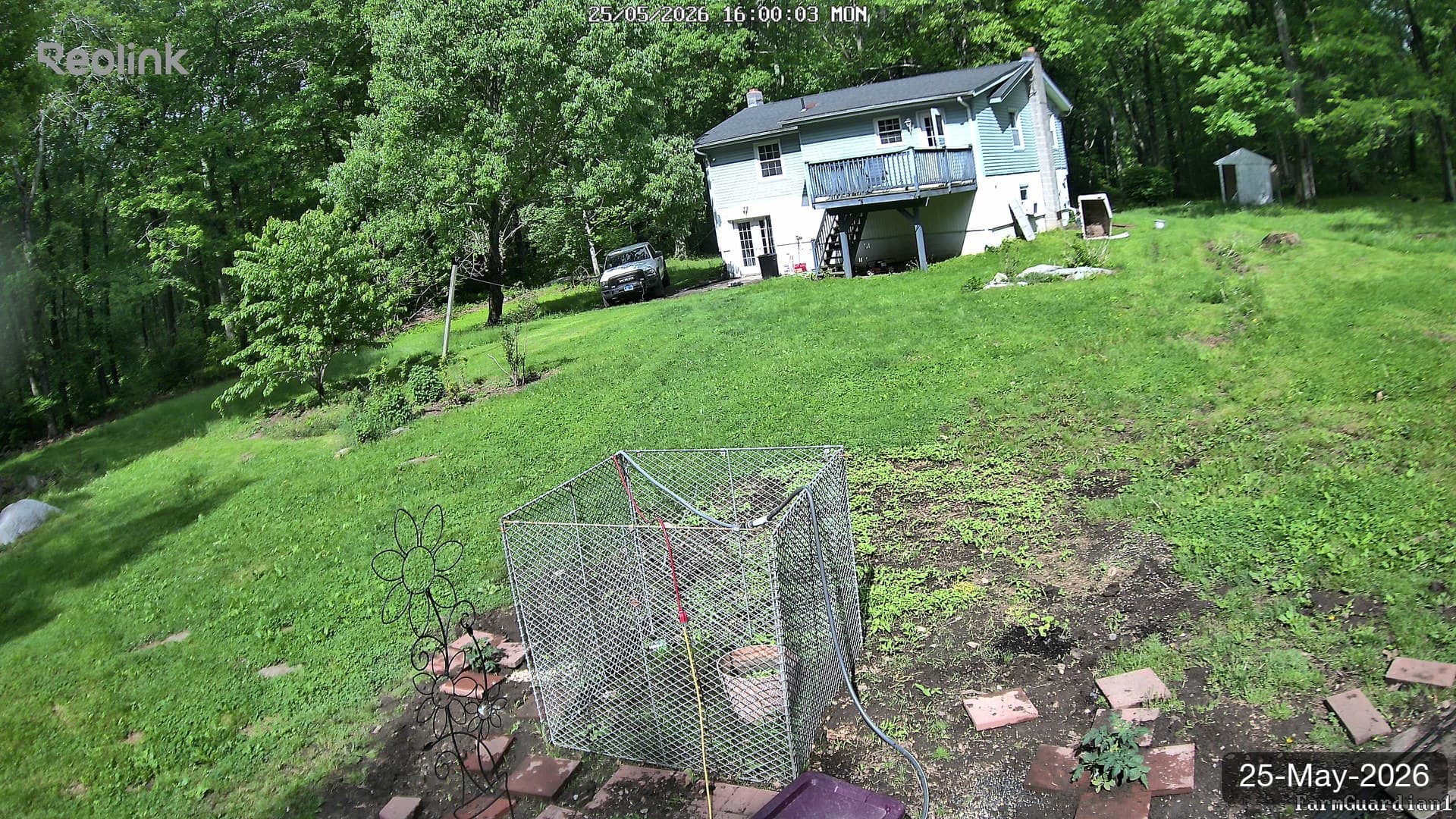Yard on 25-May-2026, Evening