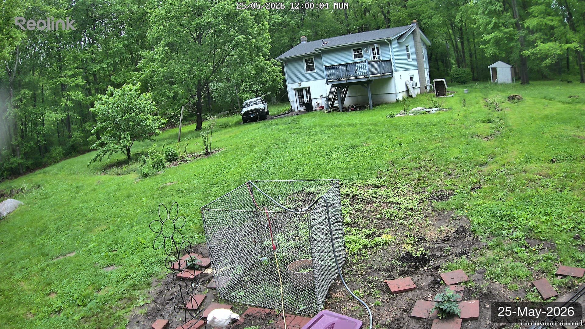 Yard on 25-May-2026, Noon