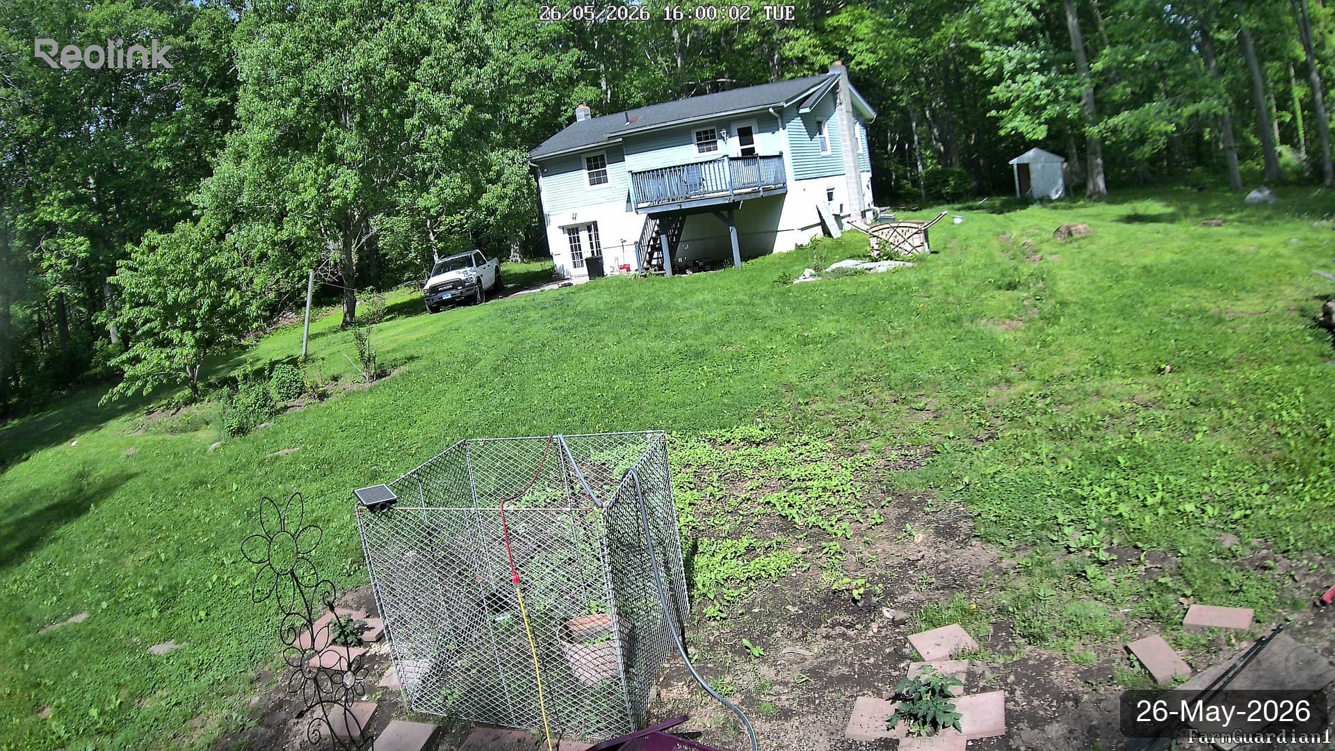 Yard on 26-May-2026, Evening
