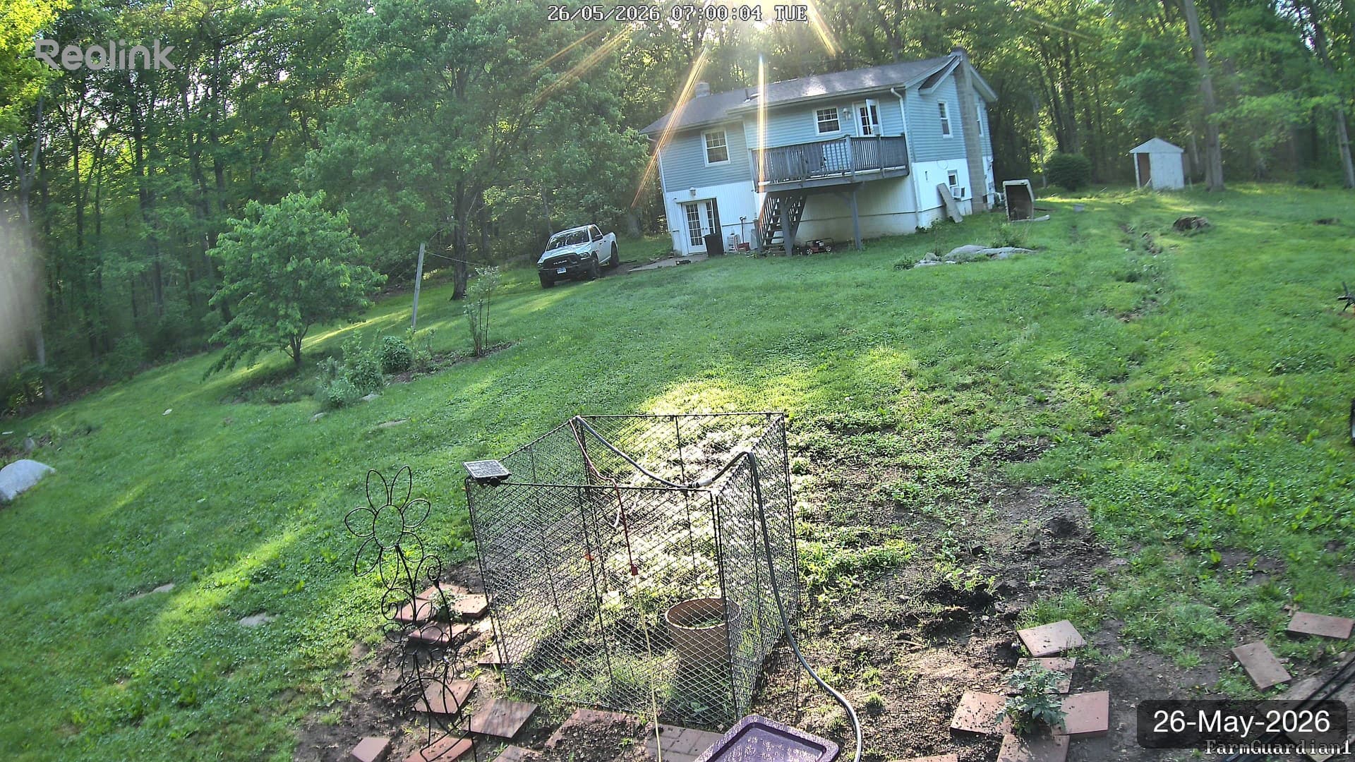 Yard on 26-May-2026, Morning