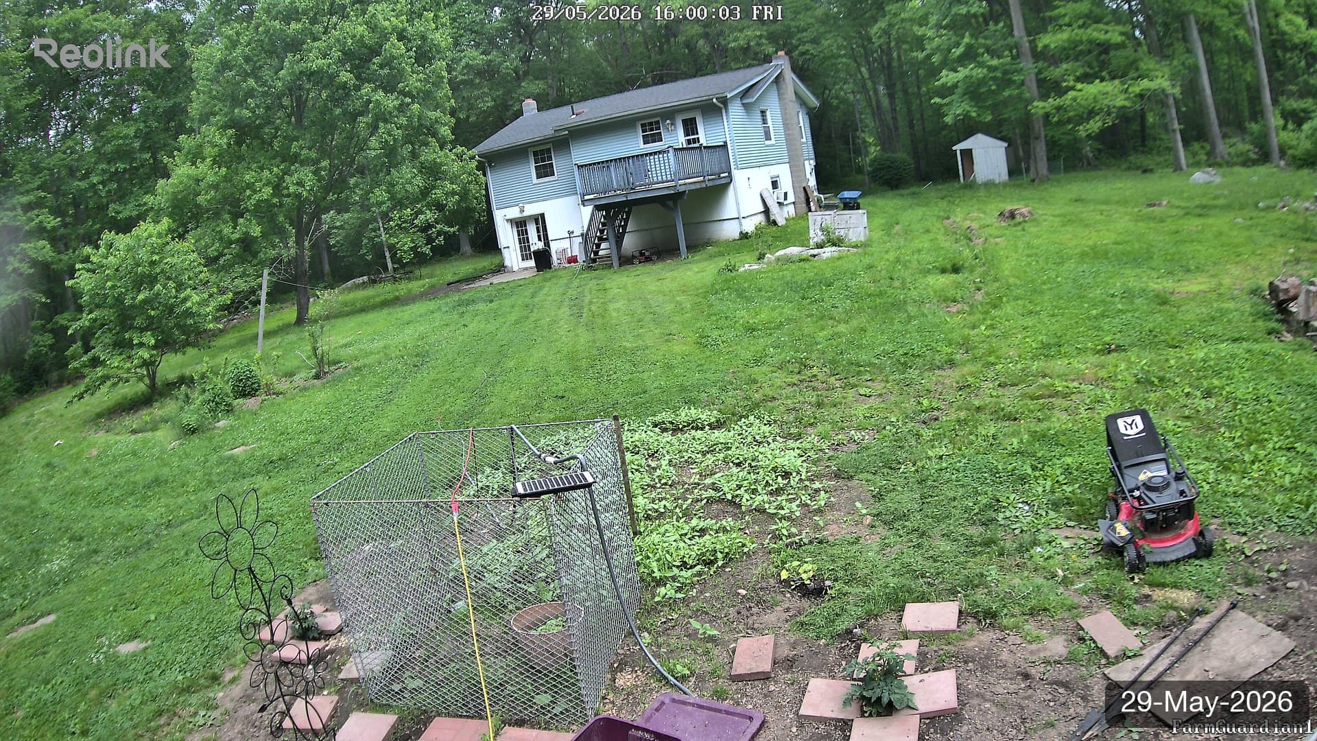 Yard on 29-May-2026, Evening