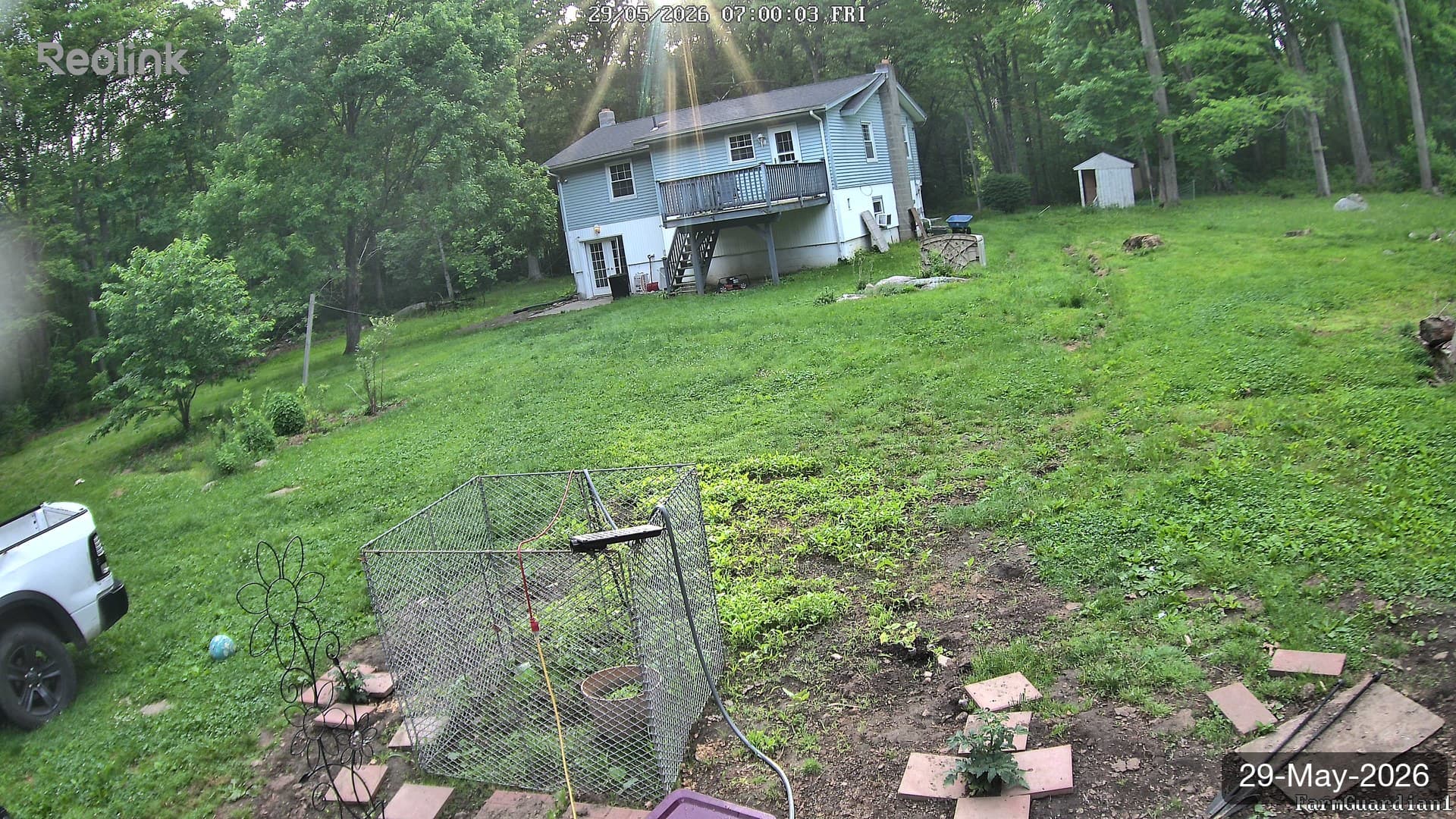 Yard on 29-May-2026, Morning