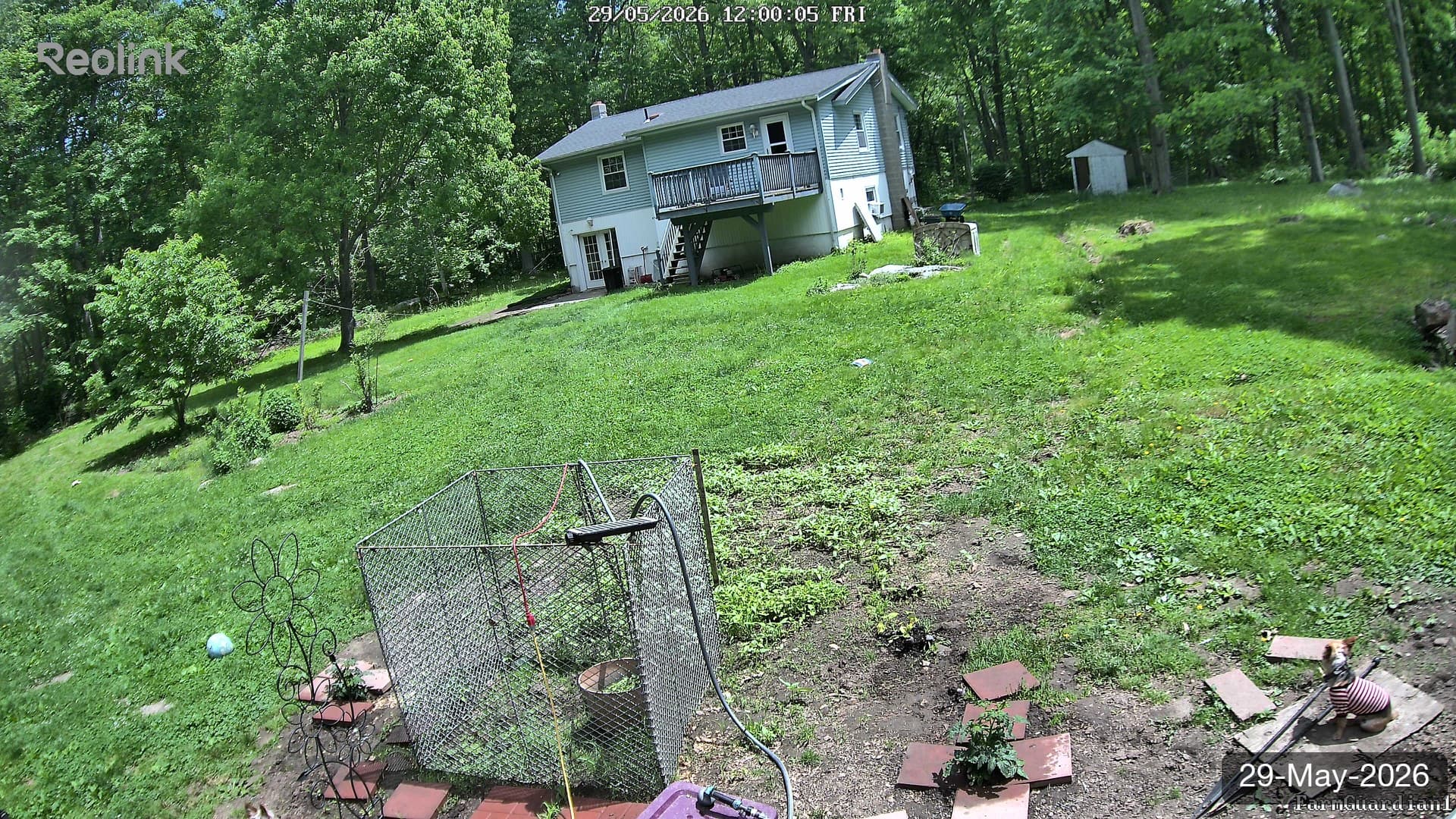 Yard on 29-May-2026, Noon