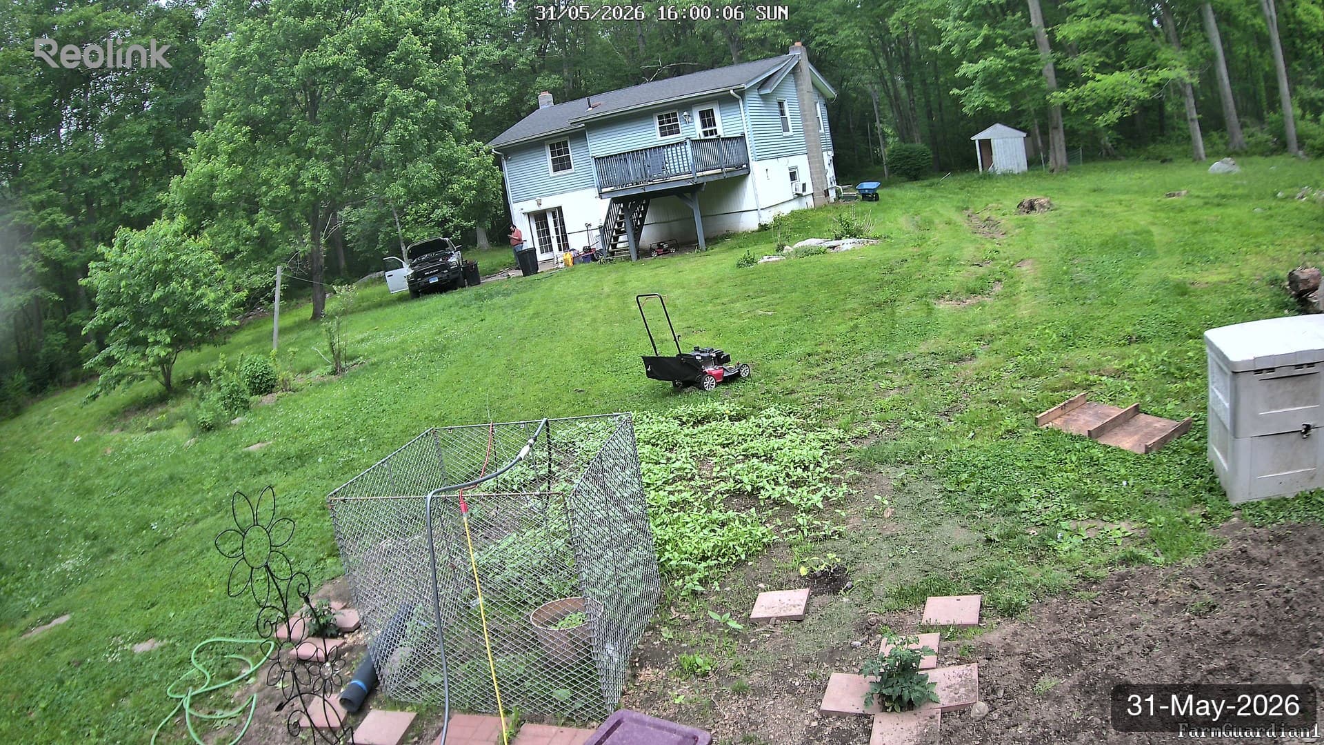 Yard on 31-May-2026, Evening