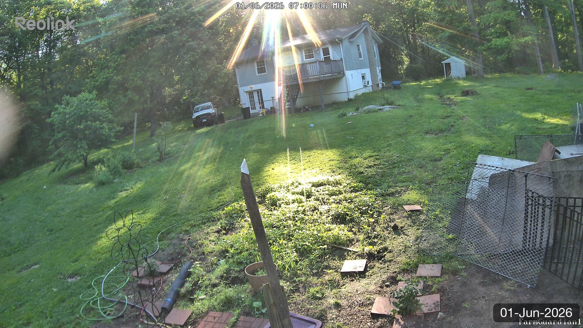 Yard on 01-Jun-2026, Morning