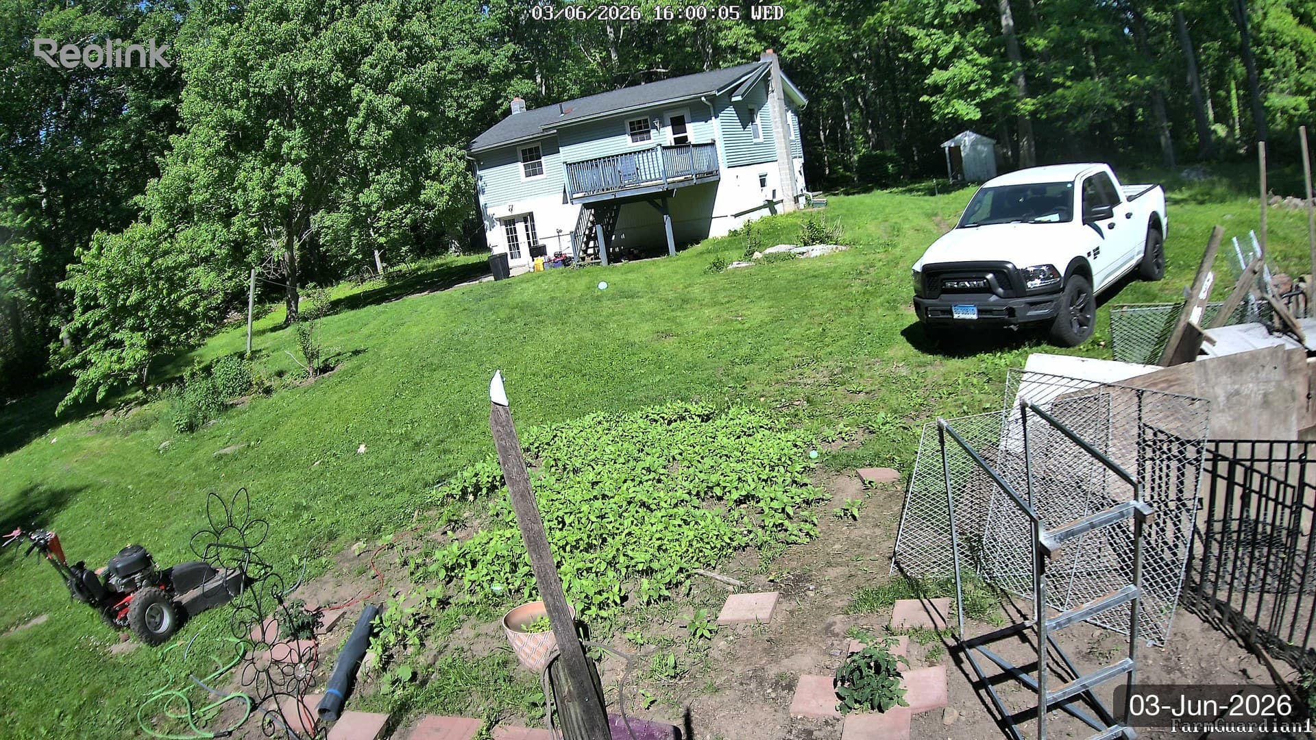 Yard on 03-Jun-2026, Evening