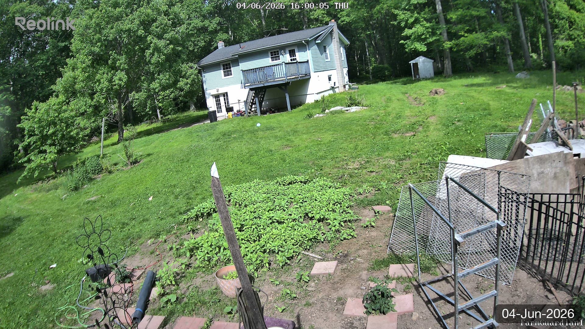 Yard on 04-Jun-2026, Evening