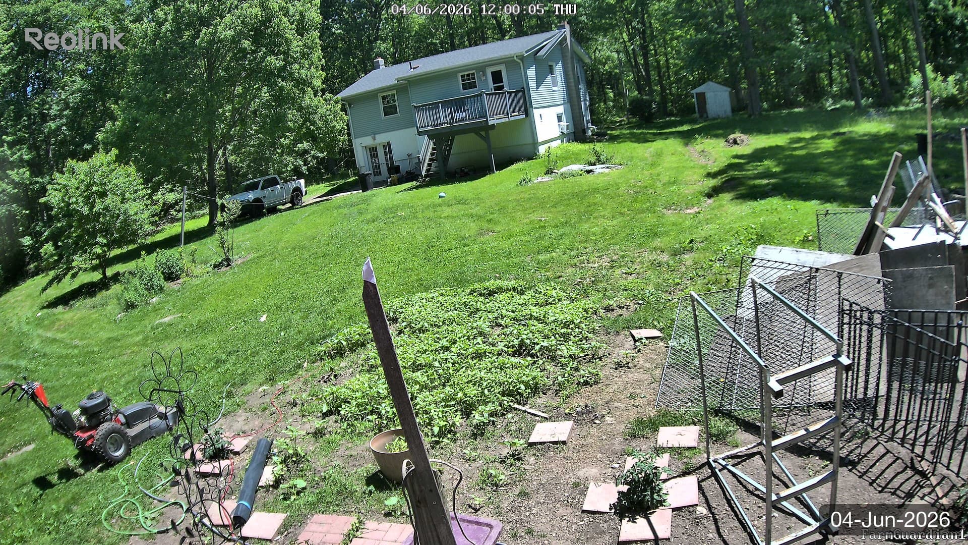 Yard on 04-Jun-2026, Noon