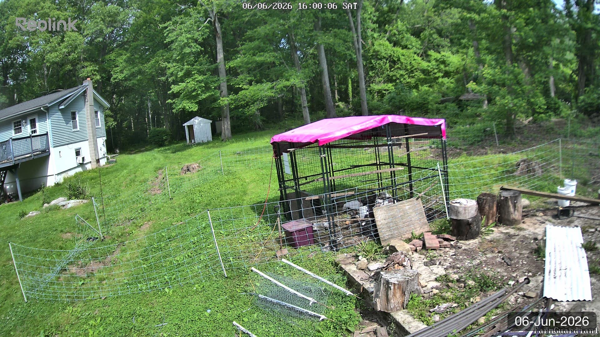 Yard on 06-Jun-2026, Evening