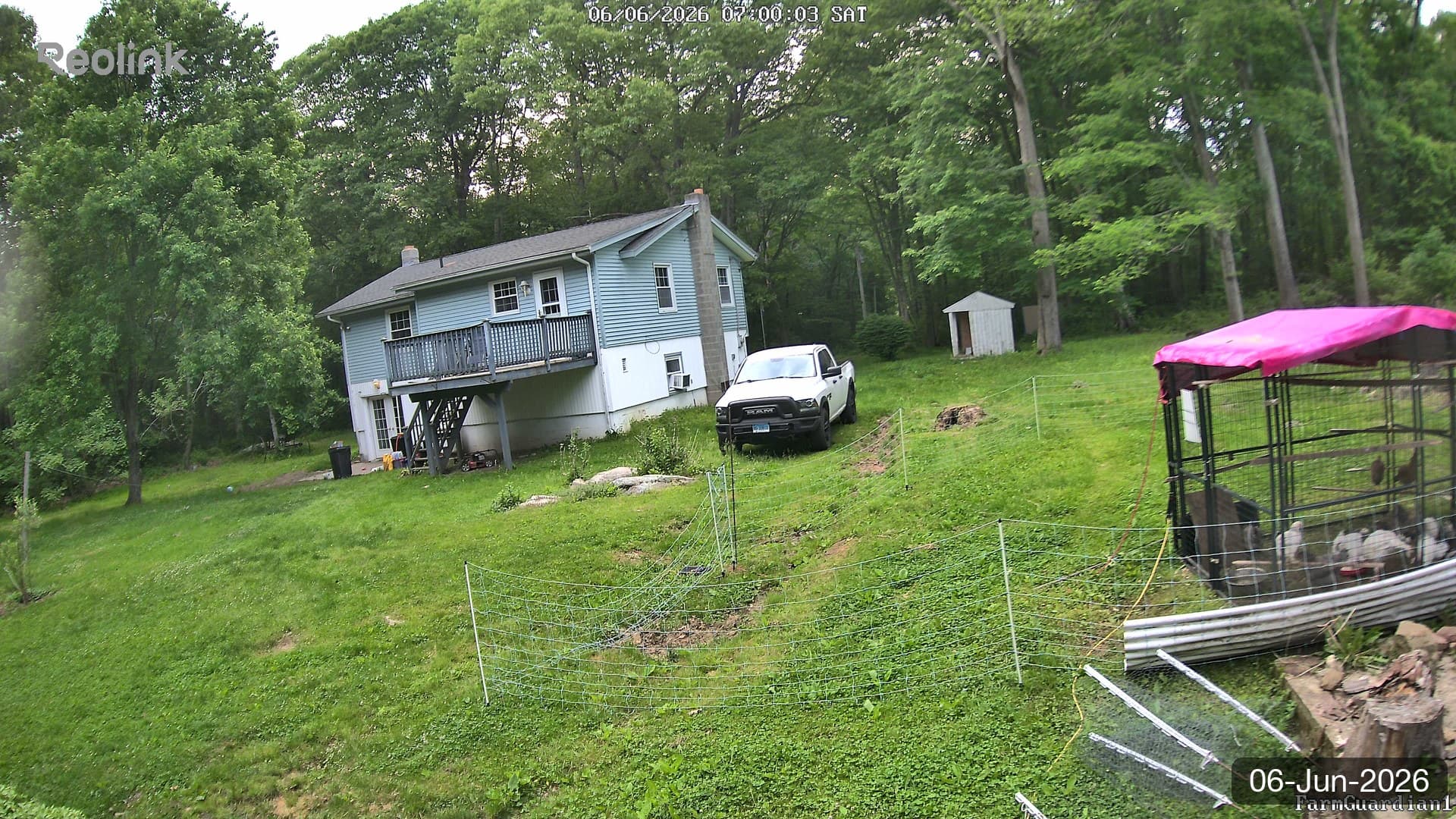 Yard on 06-Jun-2026, Morning