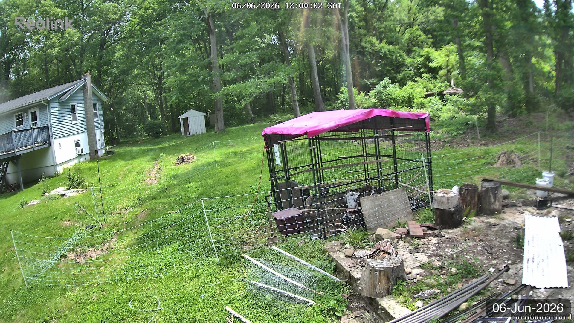 Yard on 06-Jun-2026, Noon