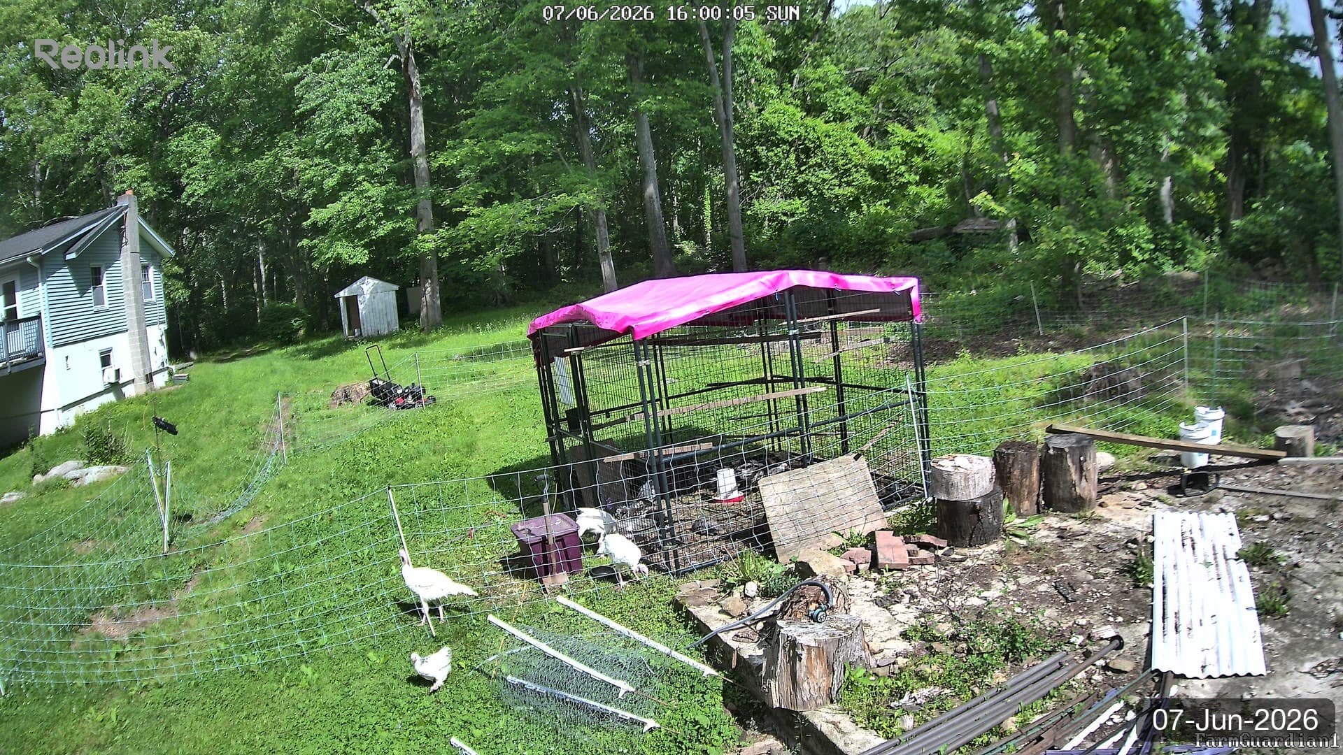 Yard on 07-Jun-2026, Evening