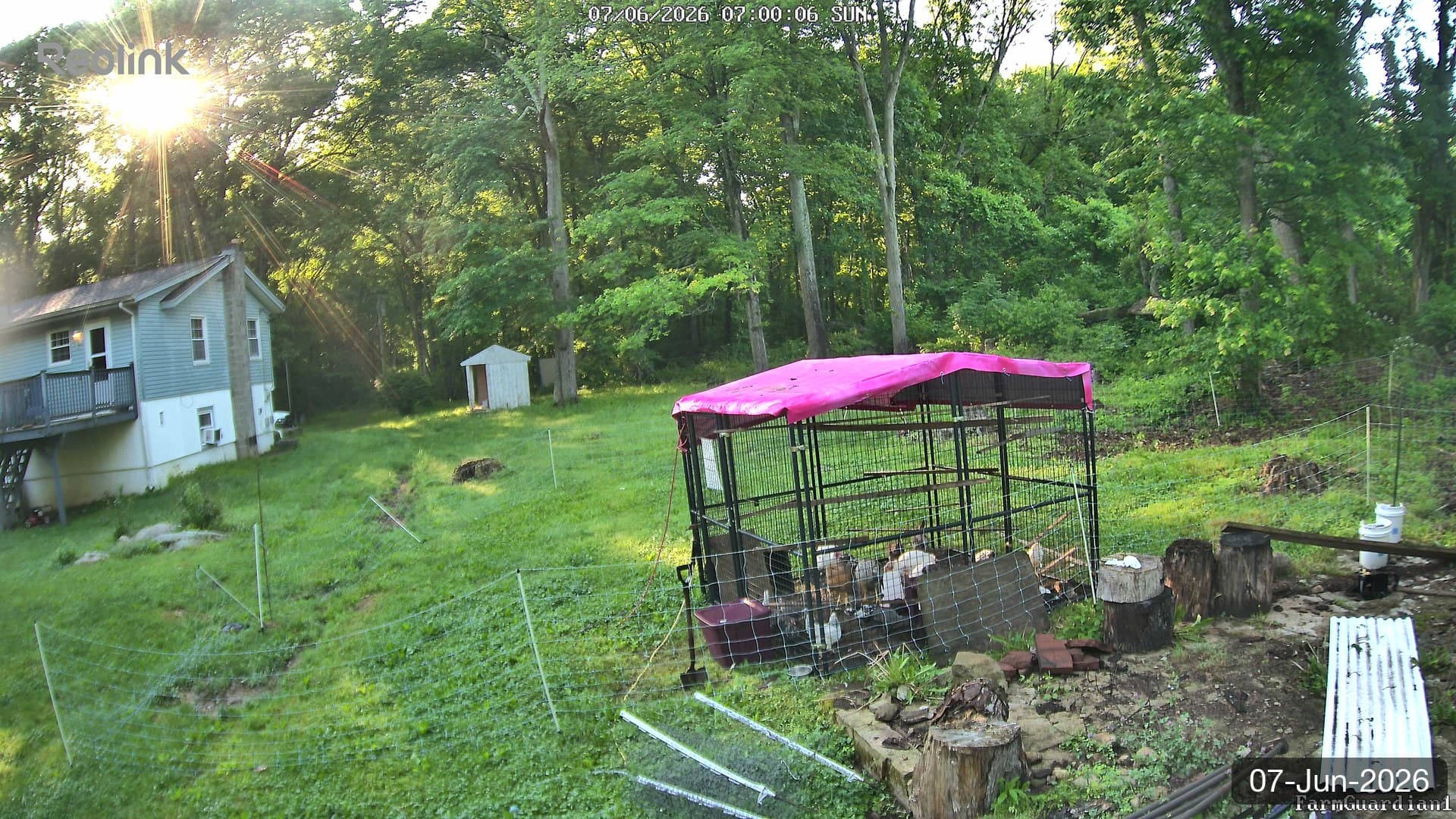 Yard on 07-Jun-2026, Morning