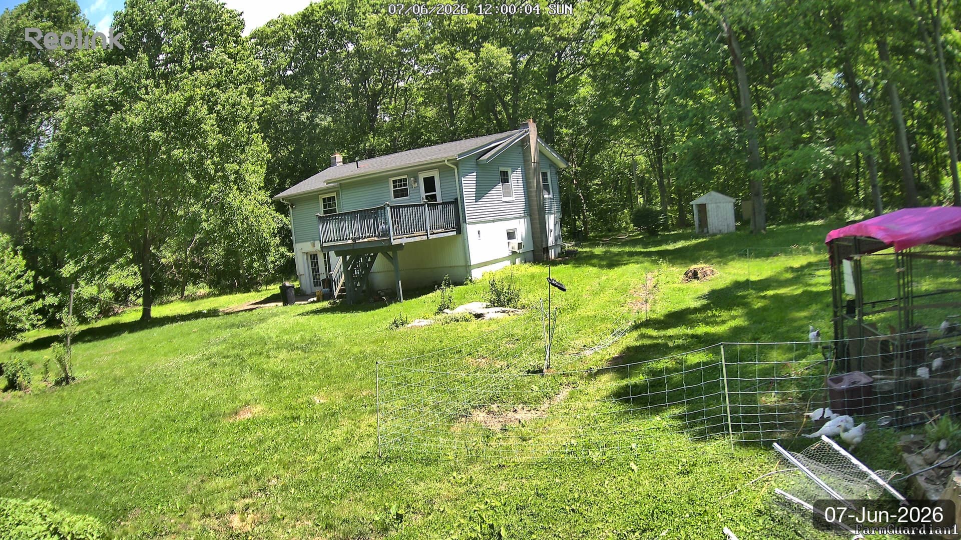 Yard on 07-Jun-2026, Noon