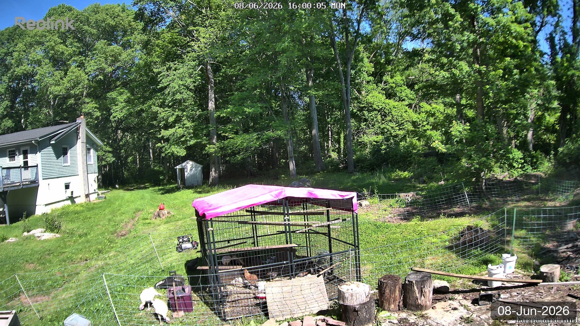 Yard on 08-Jun-2026, Evening