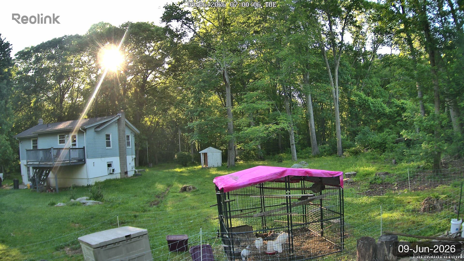 Yard on 09-Jun-2026, Morning