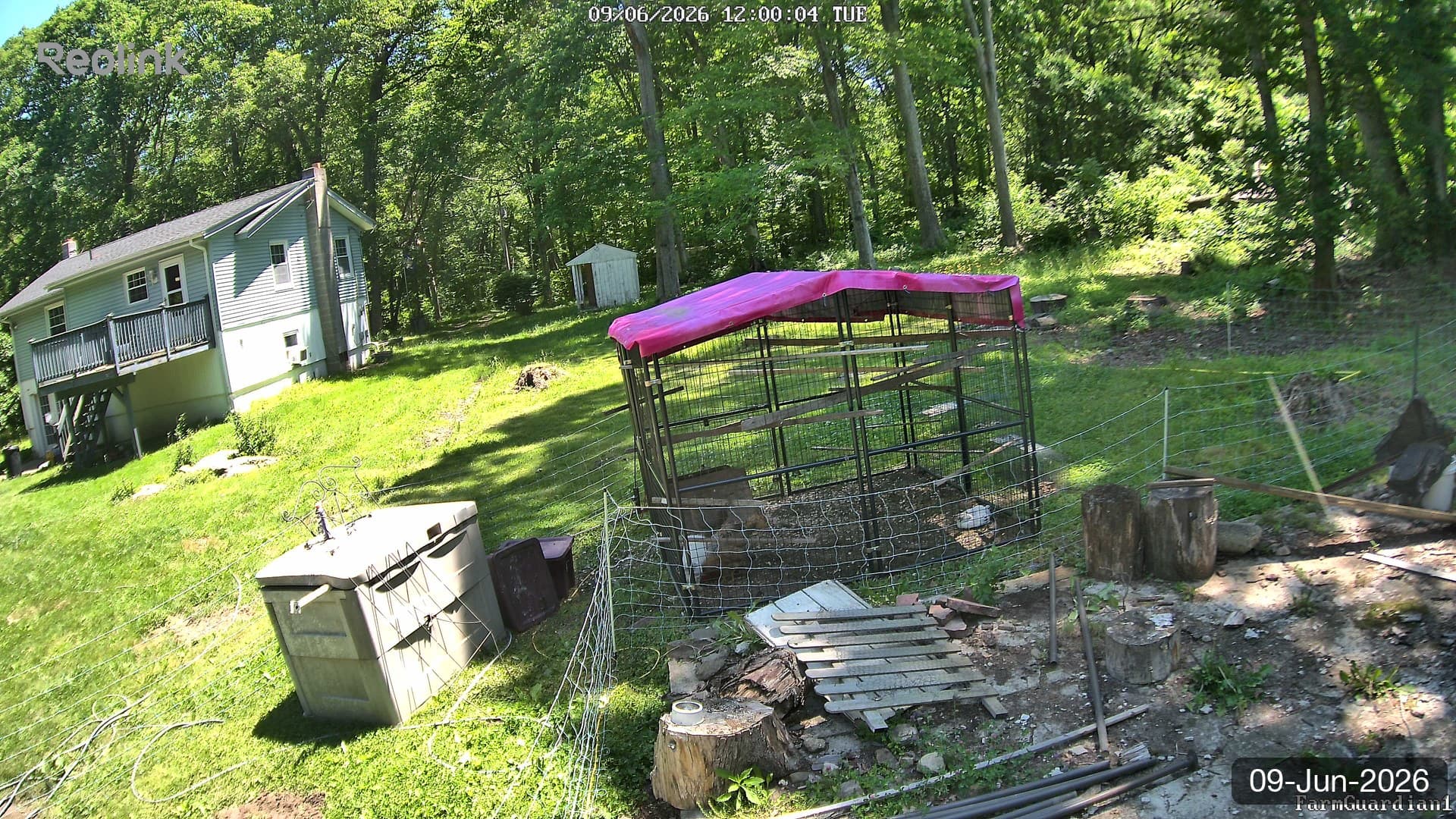 Yard on 09-Jun-2026, Noon