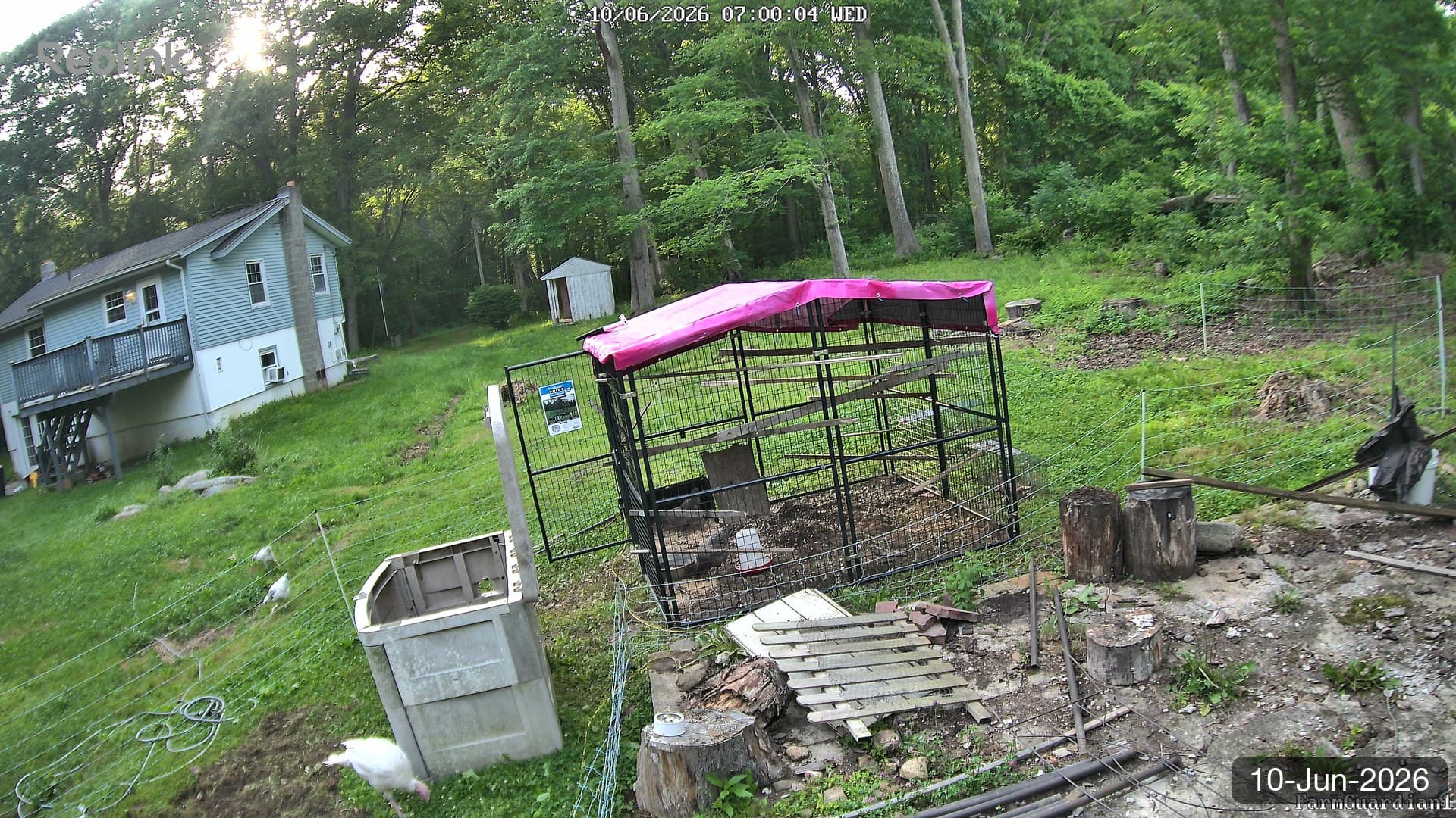 Yard on 10-Jun-2026, Morning