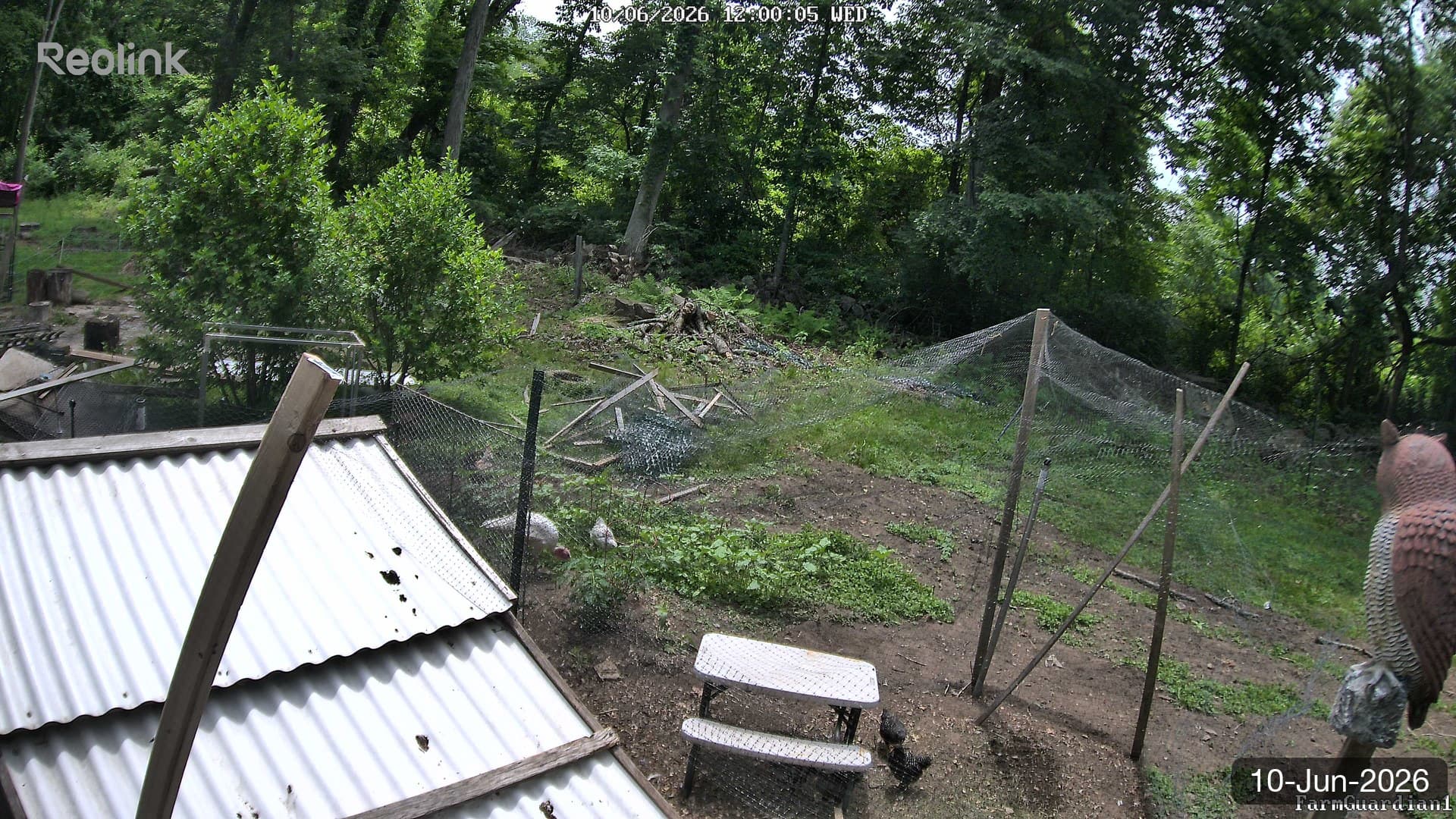 Yard on 10-Jun-2026, Noon