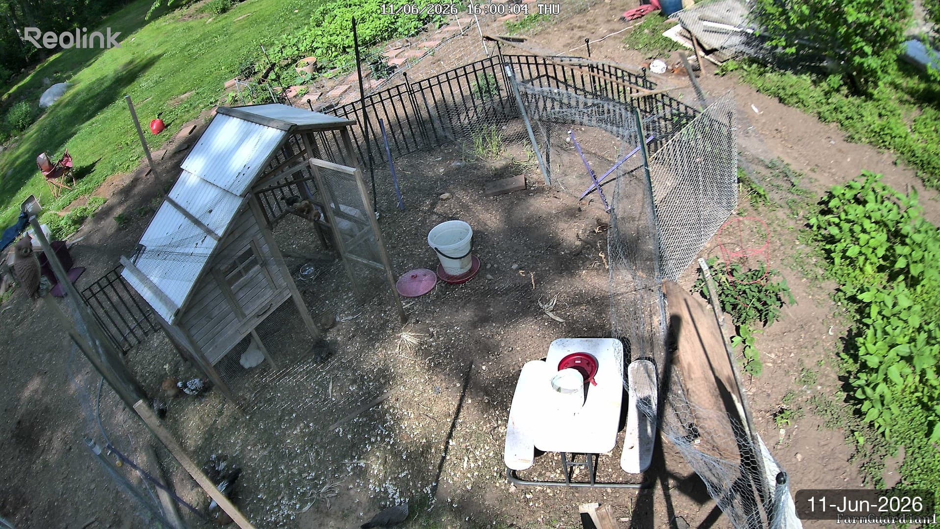 Yard on 11-Jun-2026, Evening